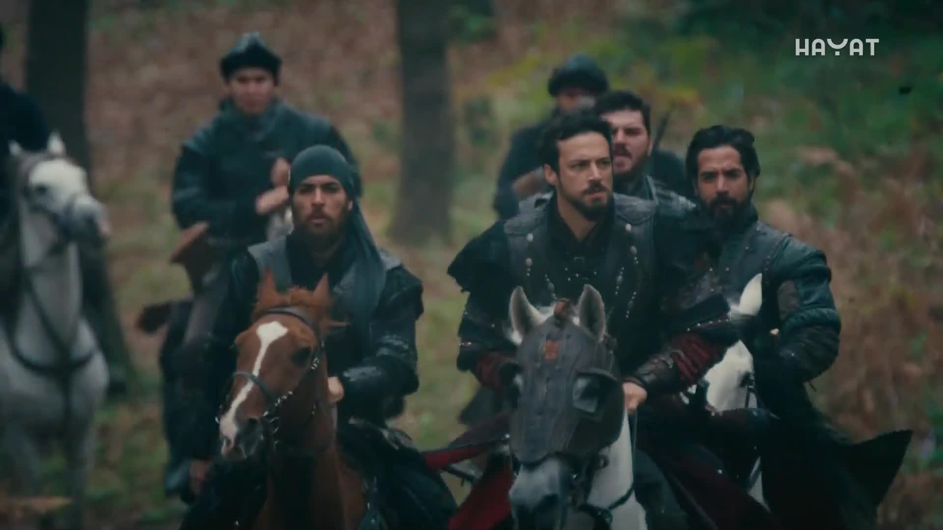 hayat