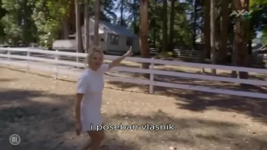 AXNSpin