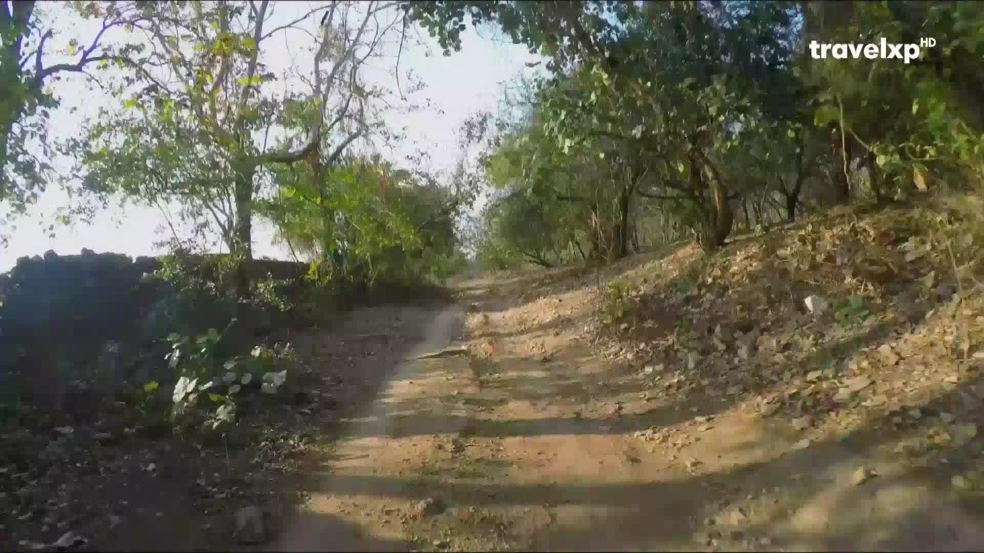 Travel