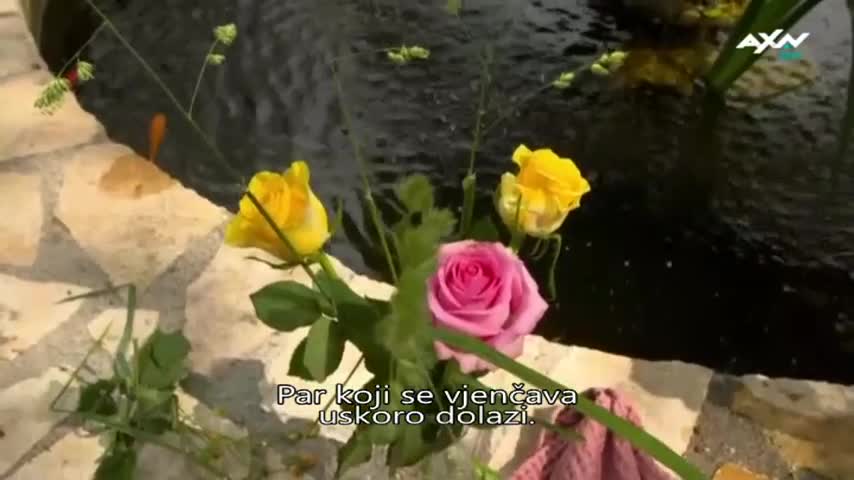 AXNSpin