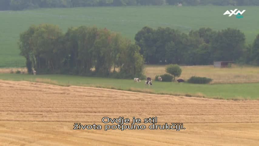 AXNSpin