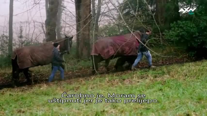 AXNSpin