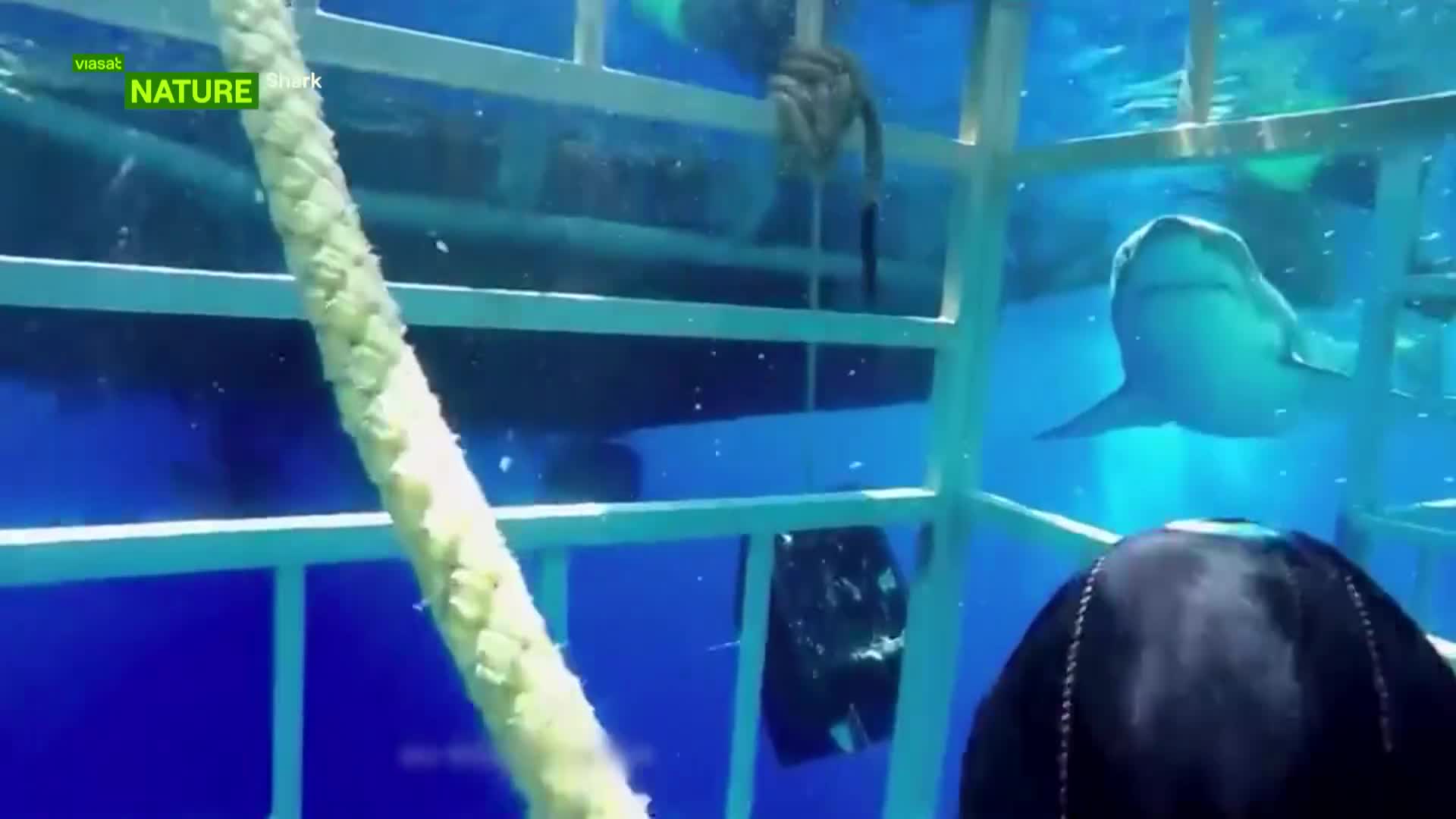 ViasatNature