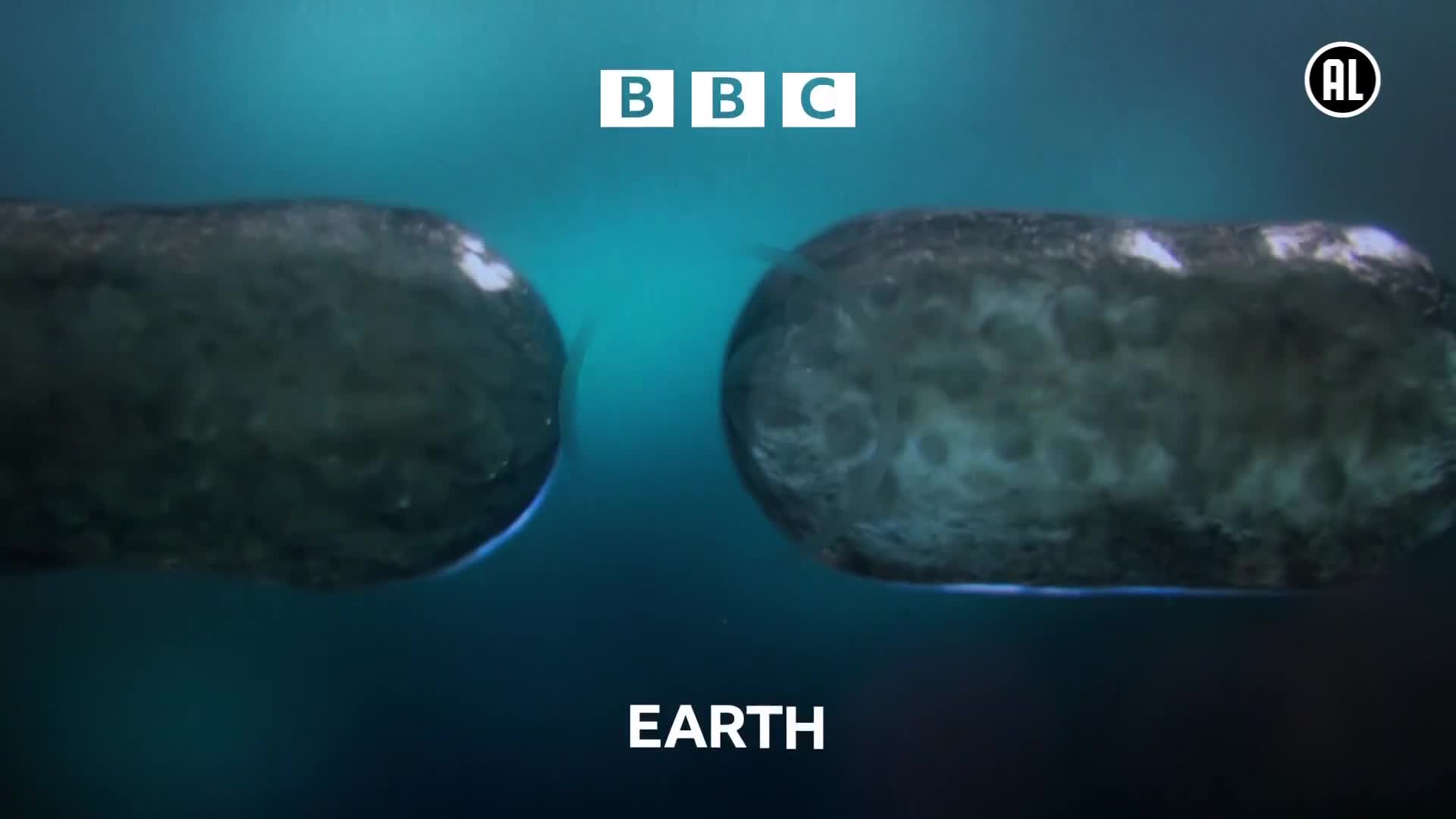 BBCEarth