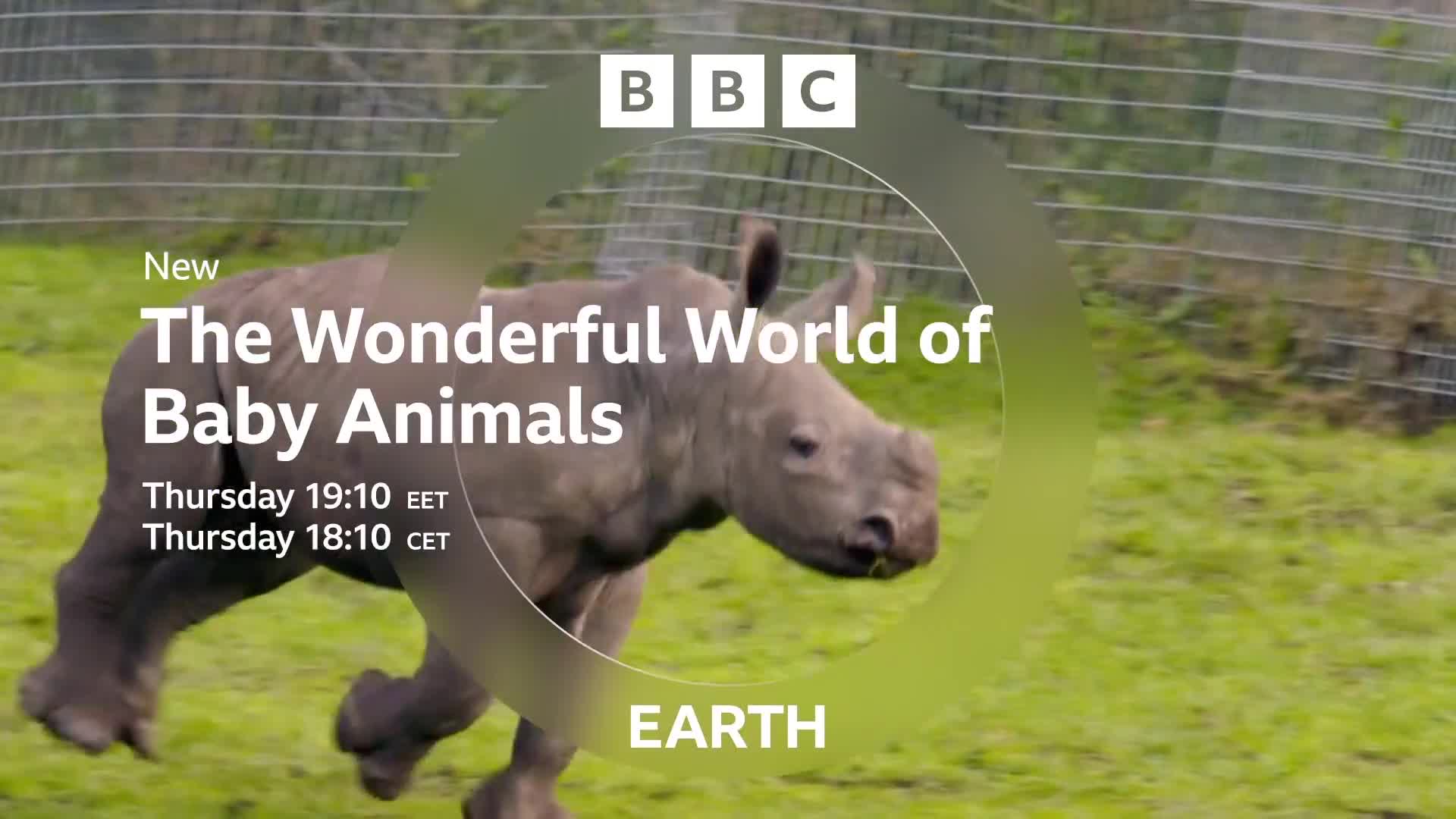 BBCEarth