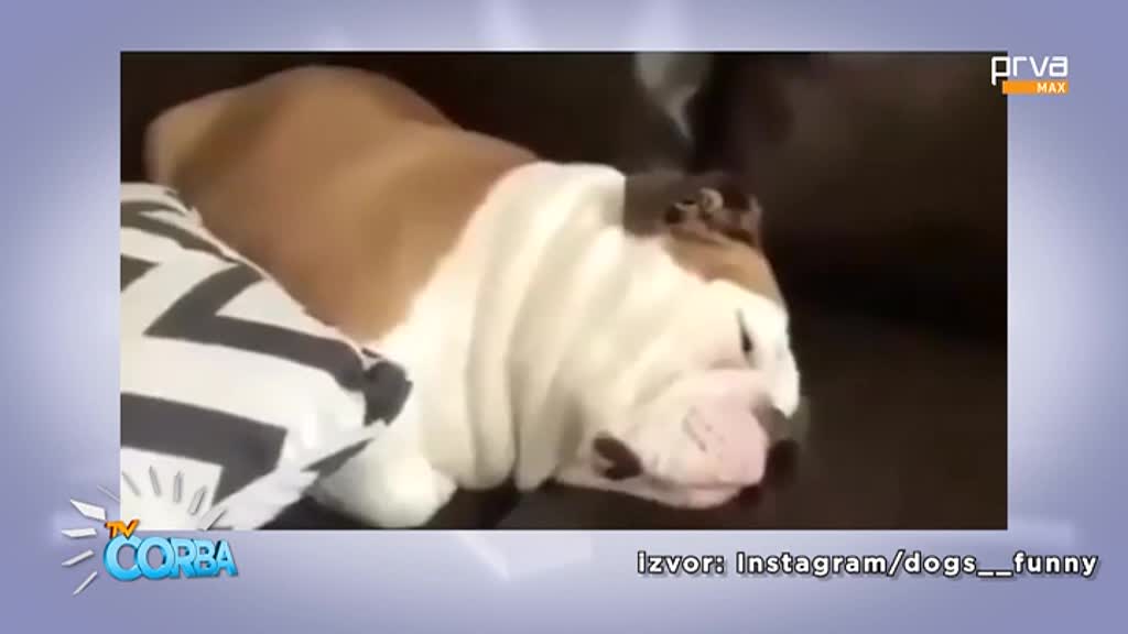 PrvaMax