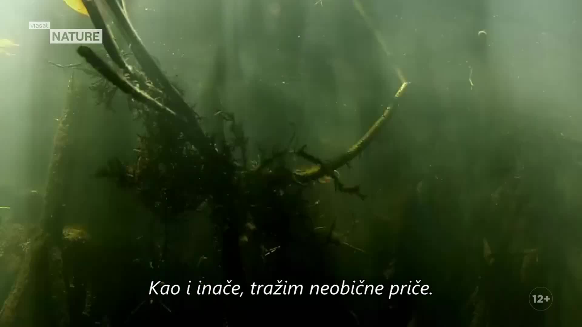ViasatNature