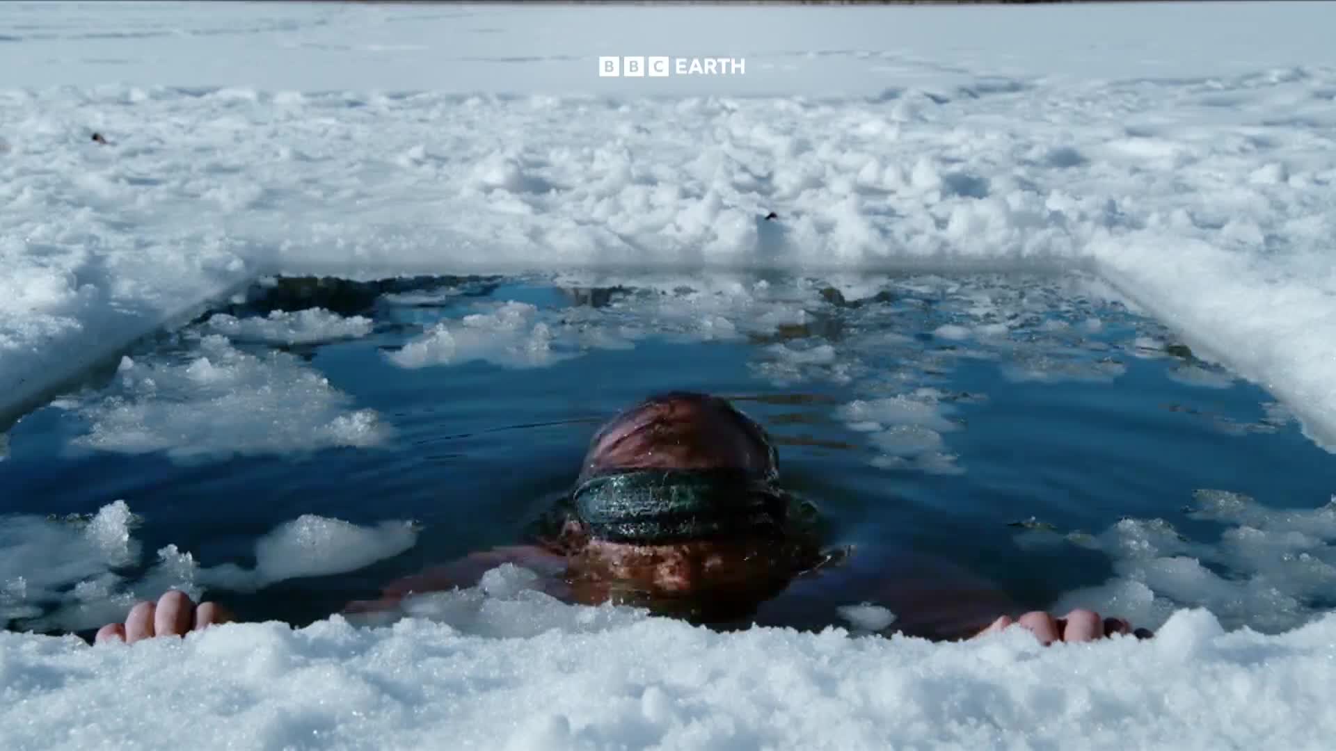 BBCEarth