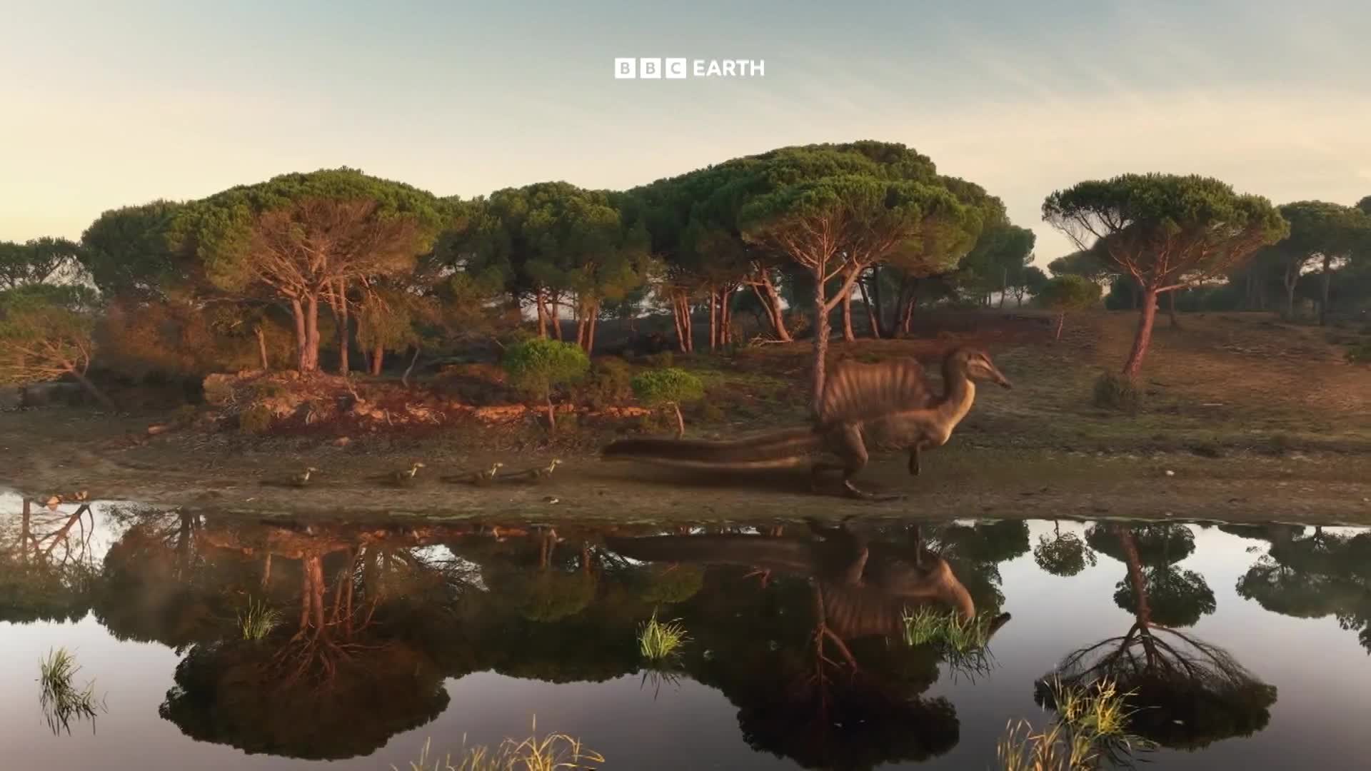 BBCEarth