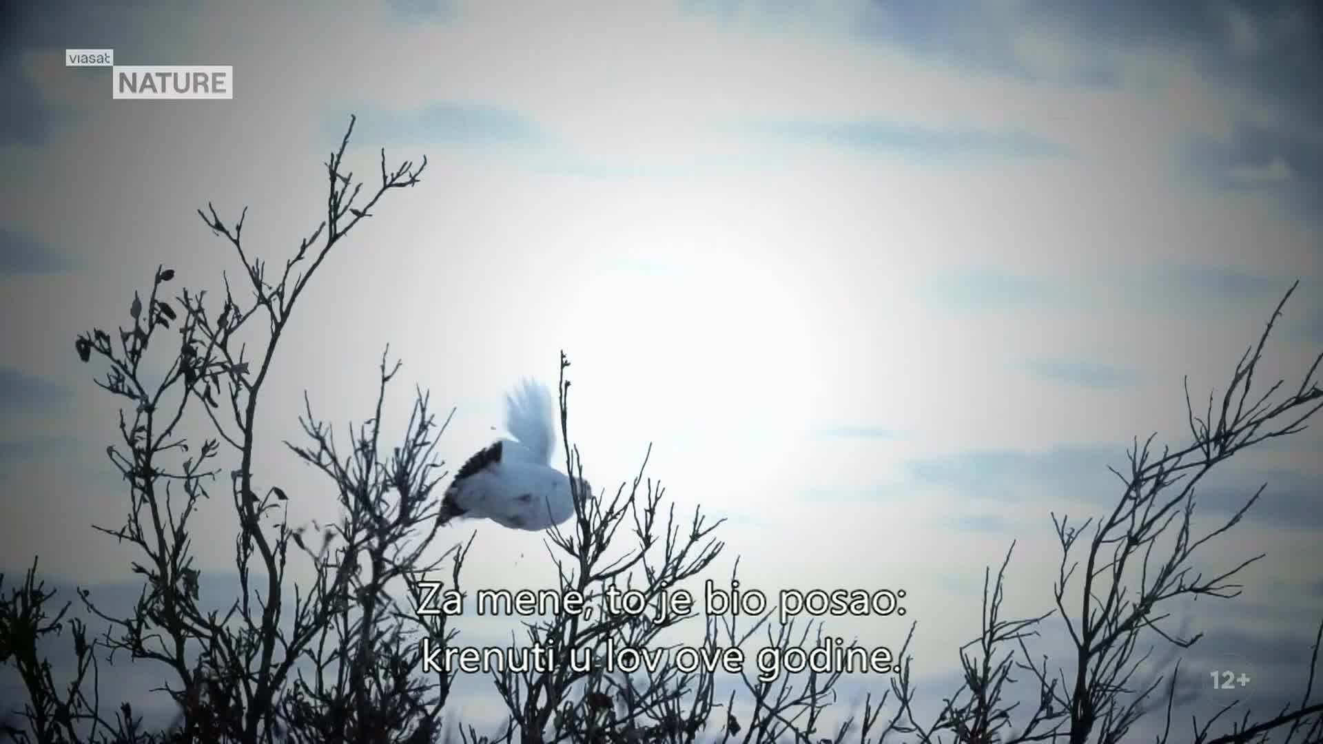 ViasatNature