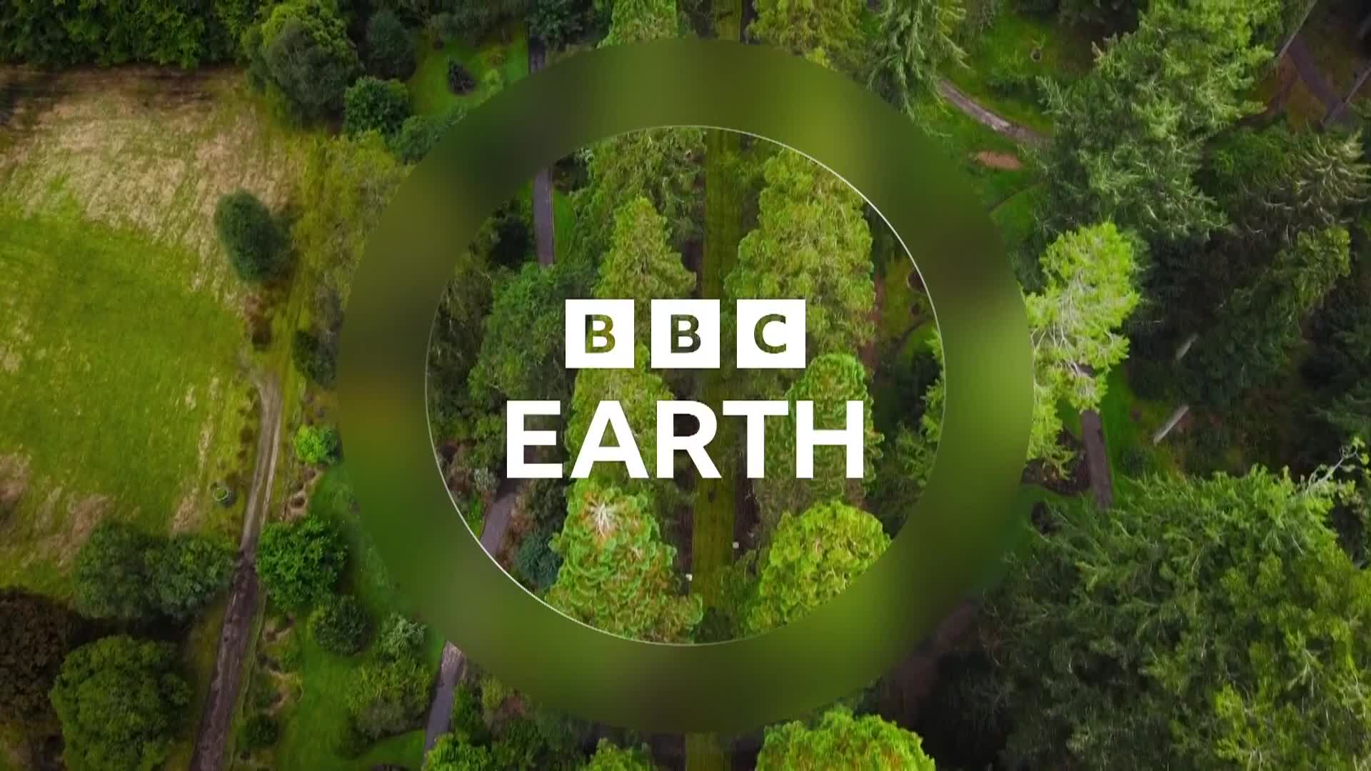 BBCEarth