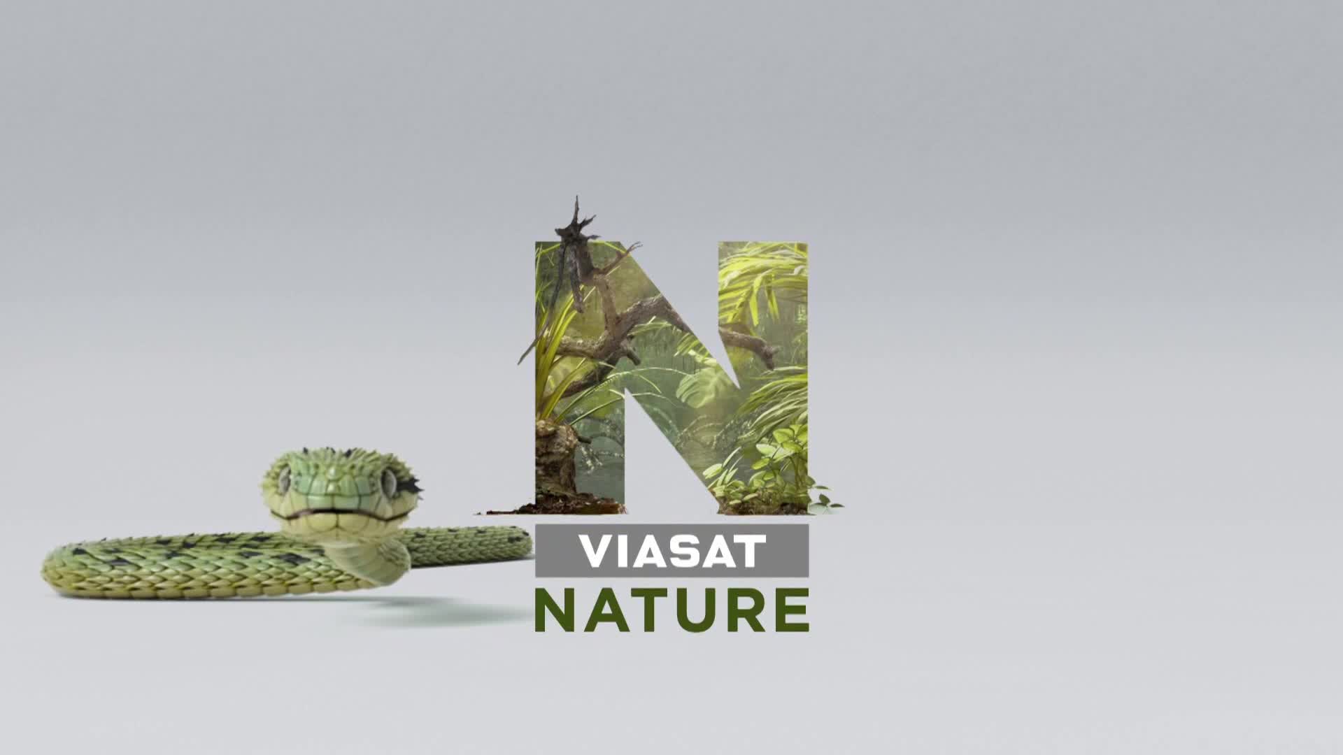 ViasatNature