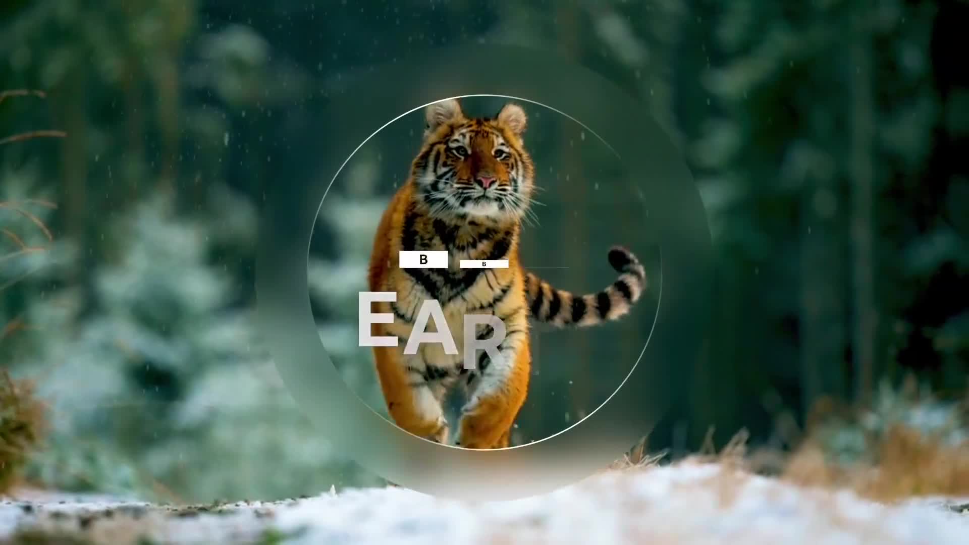 BBCEarth