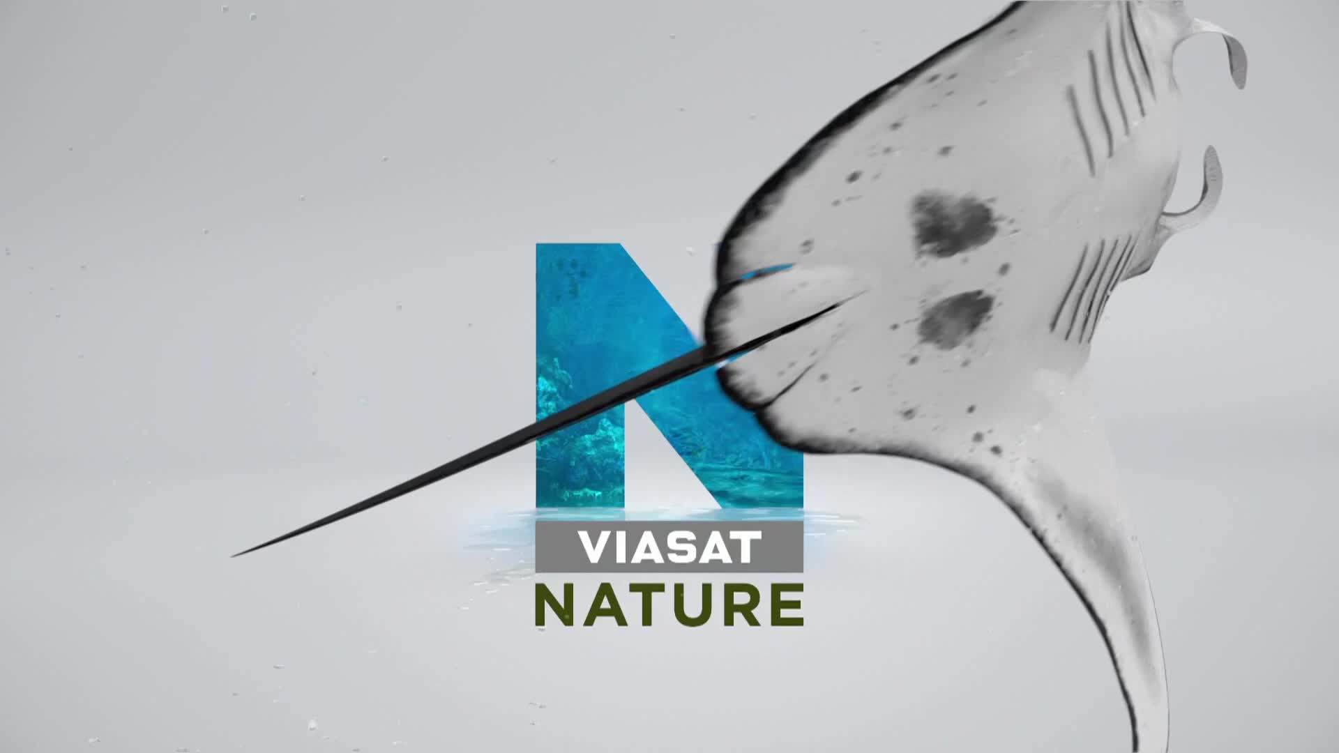 ViasatNature
