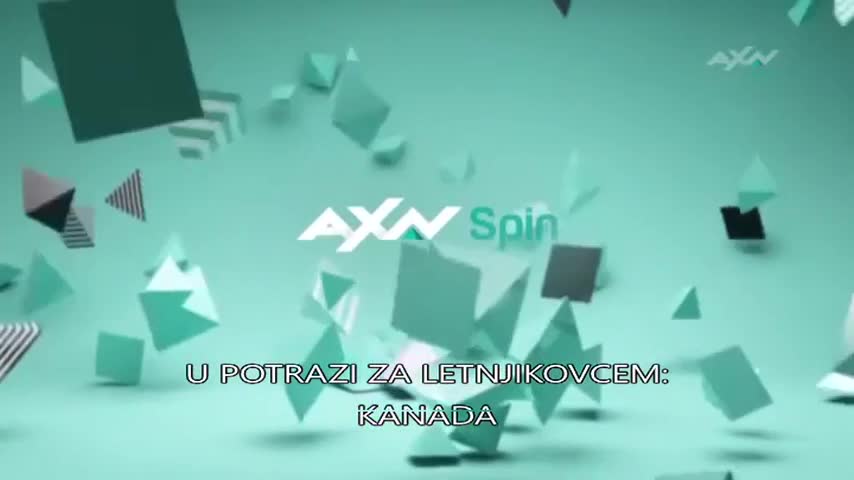 AXNSpin