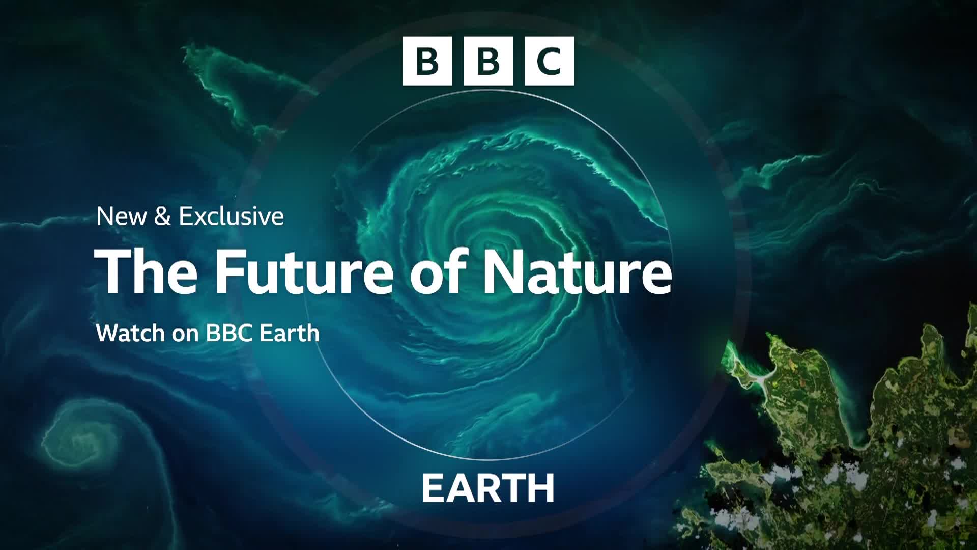 BBCEarth