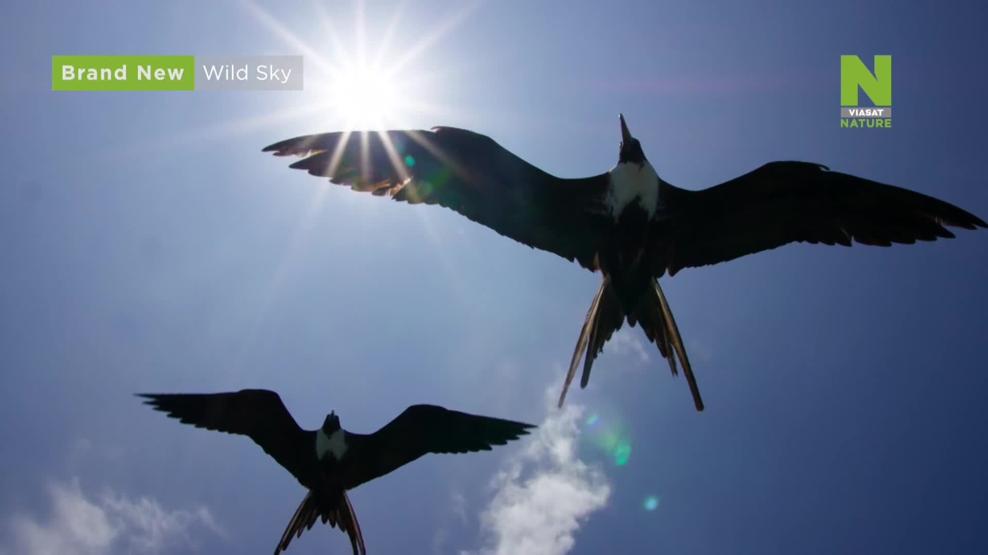 ViasatNature