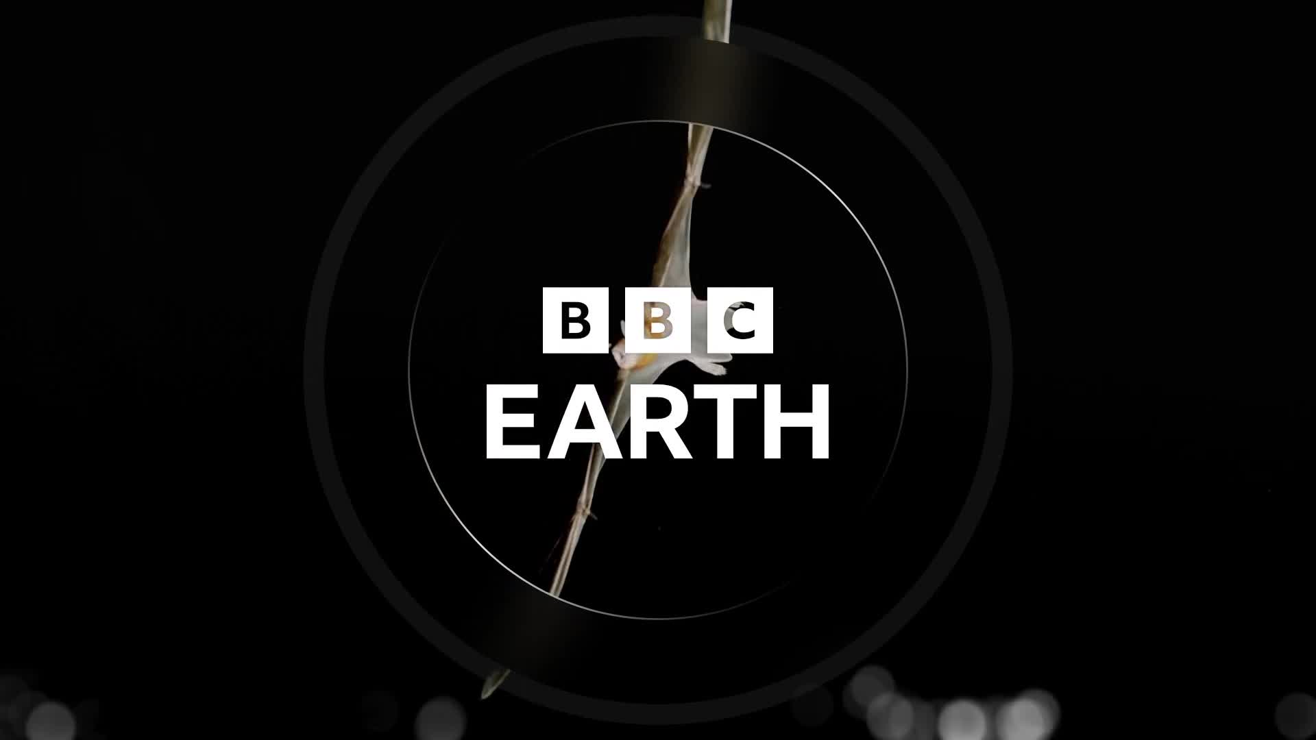 BBCEarth