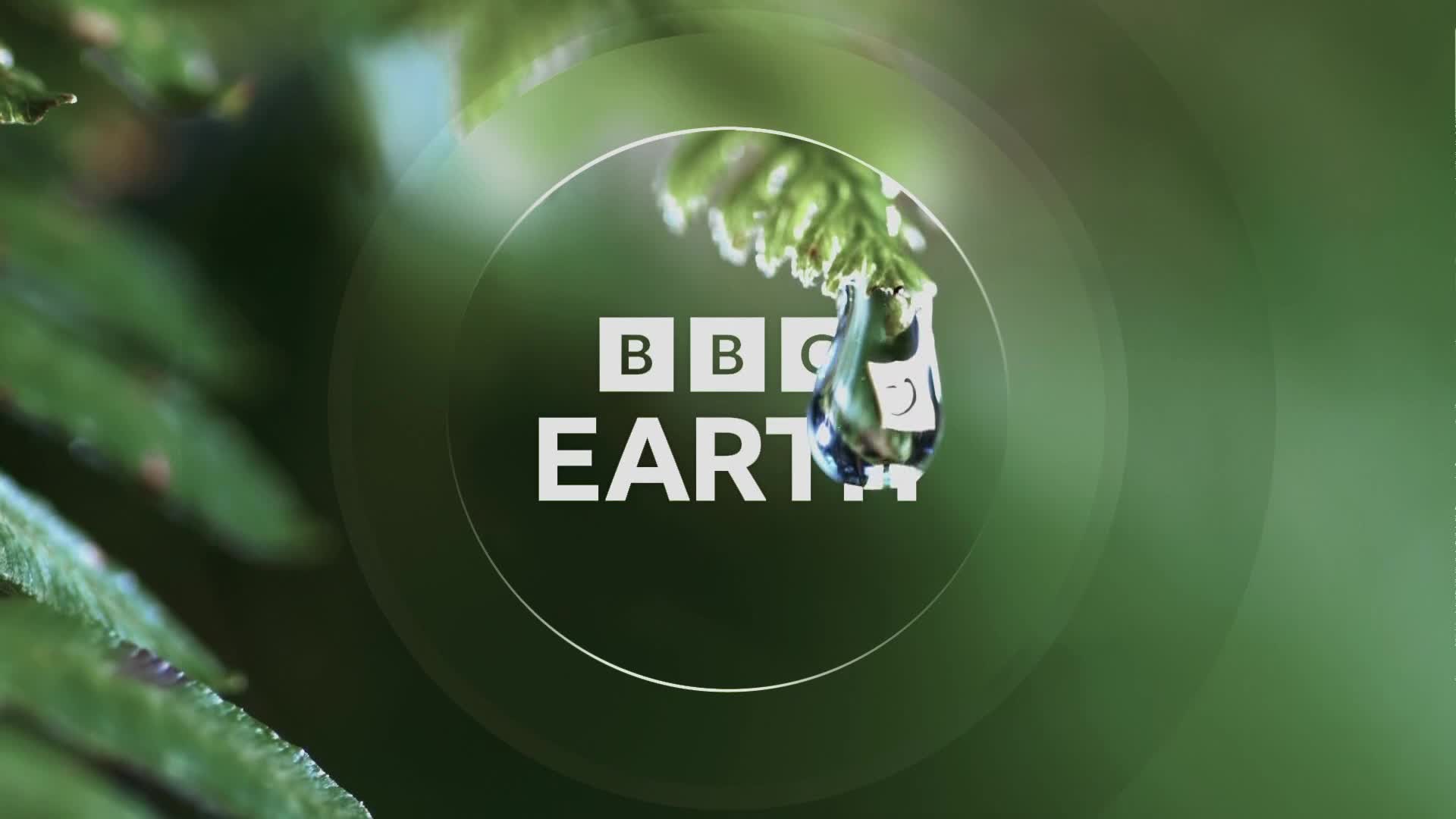 BBCEarth