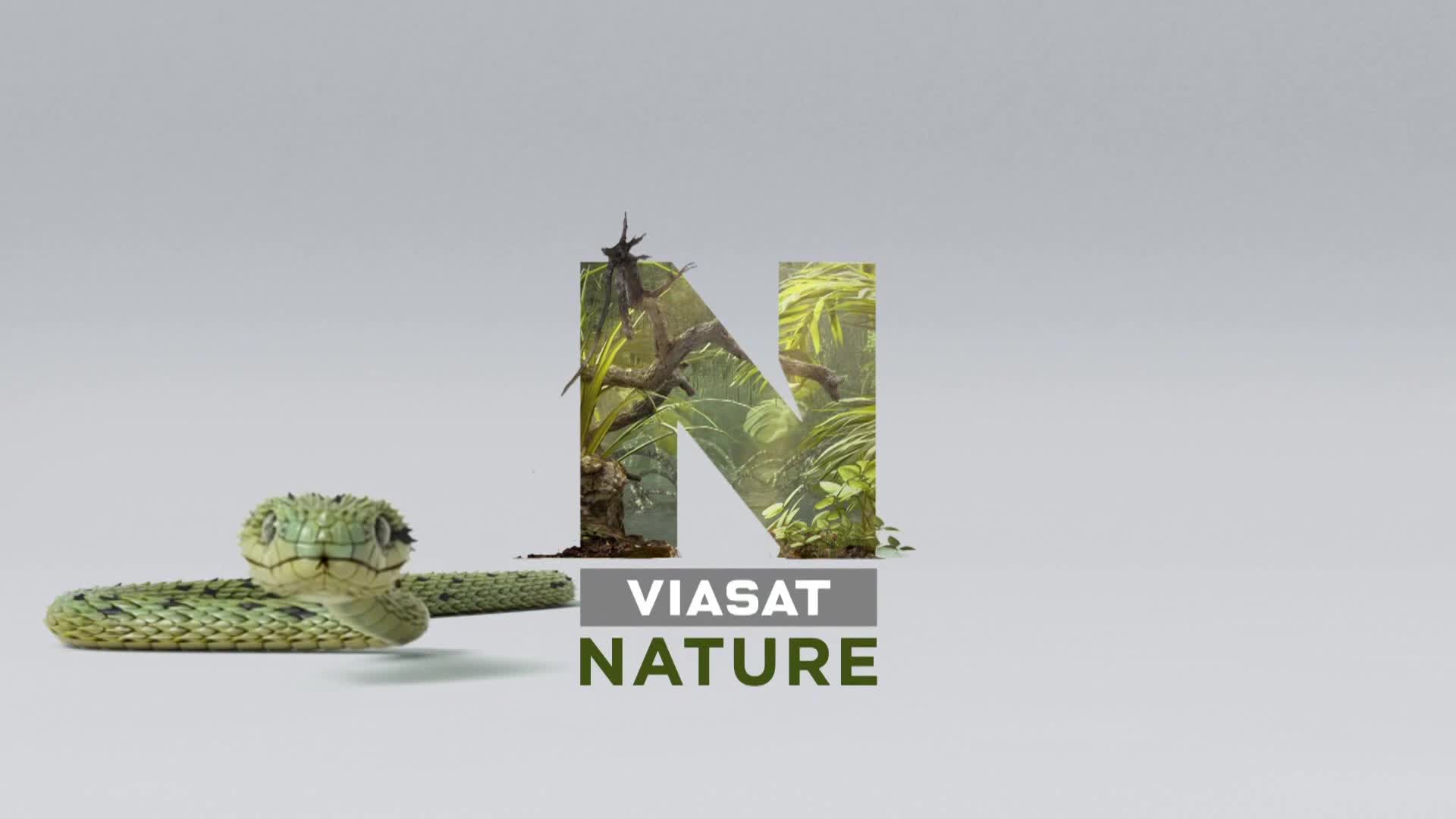 ViasatNature