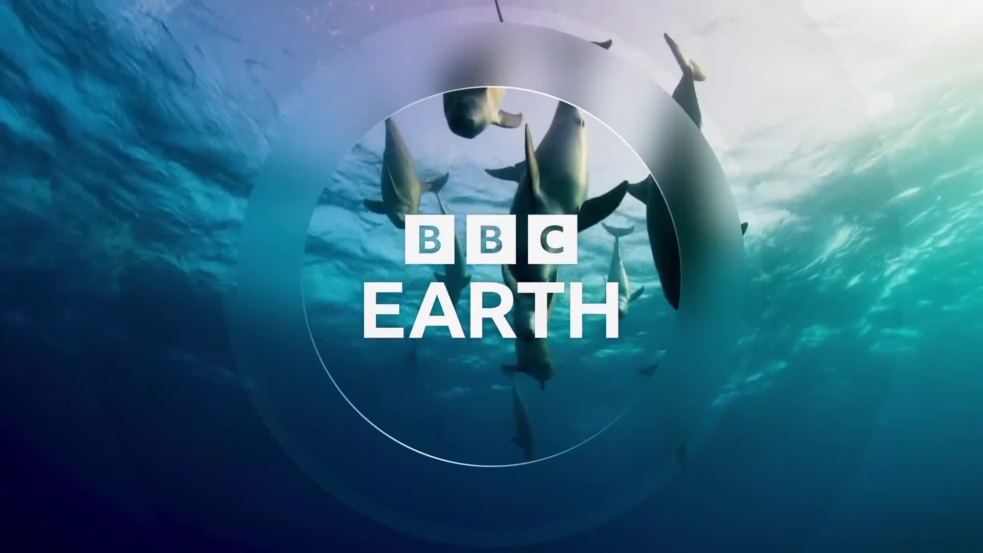 BBCEarth