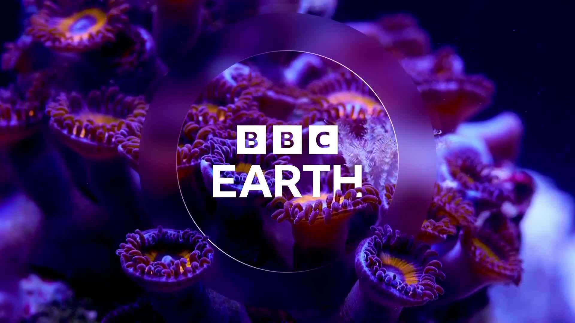 BBCEarth