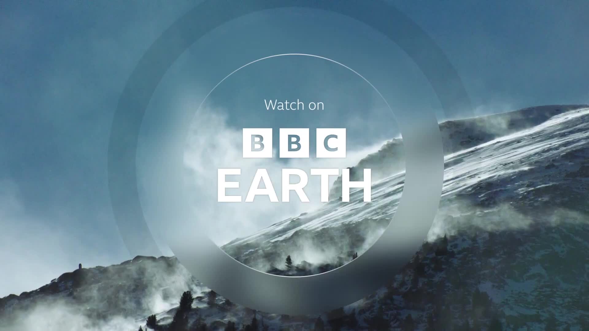 BBCEarth