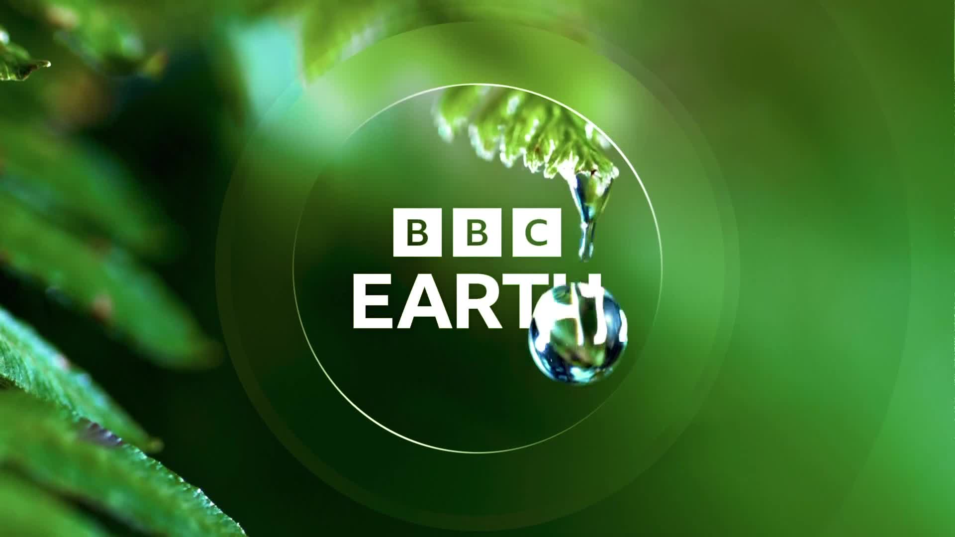 BBCEarth