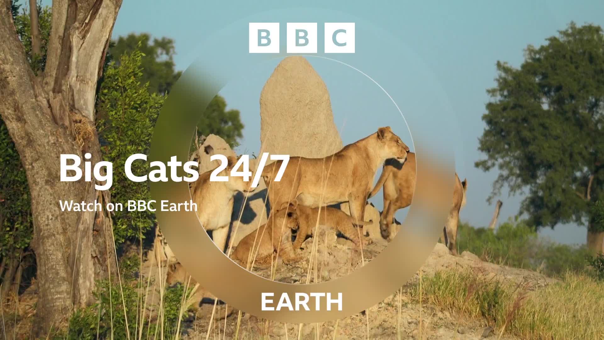 BBCEarth