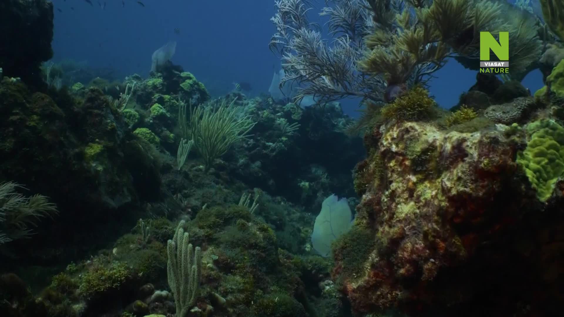 ViasatNature