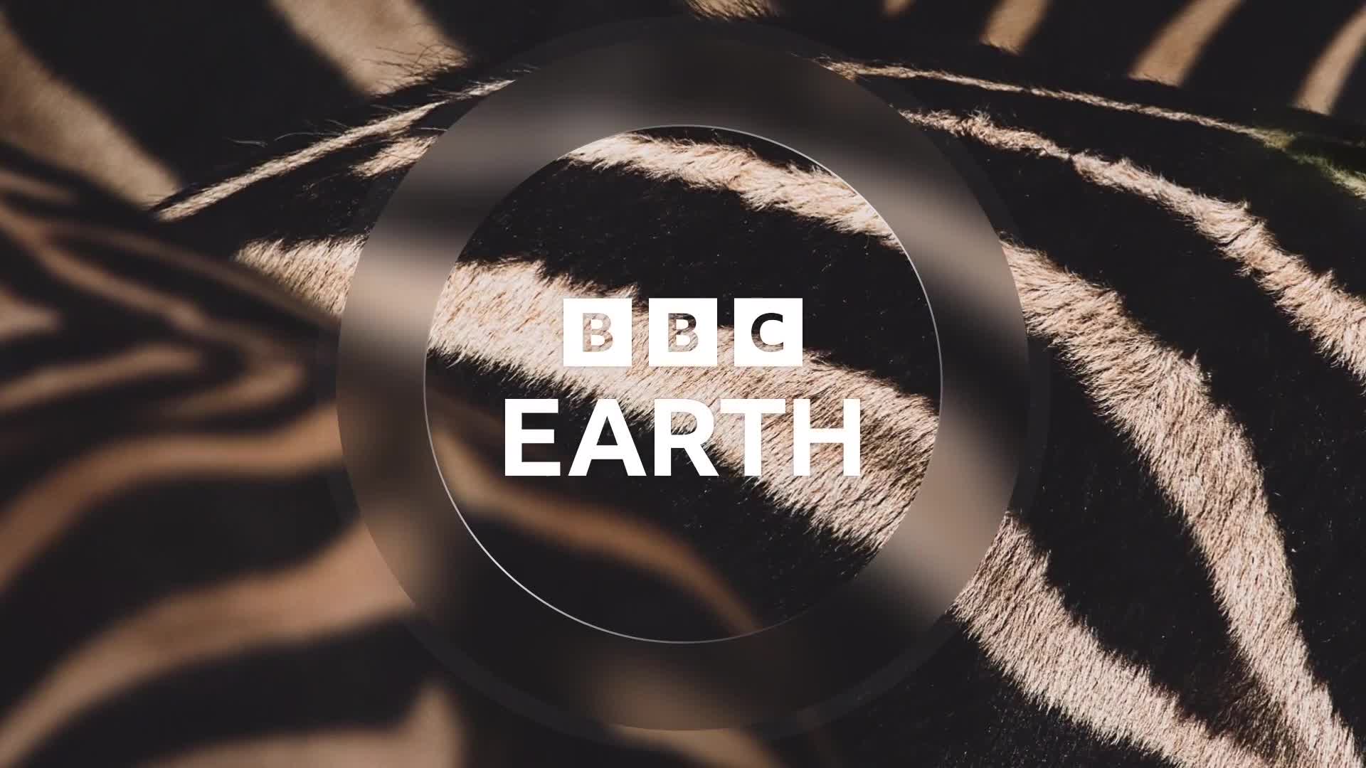 BBCEarth