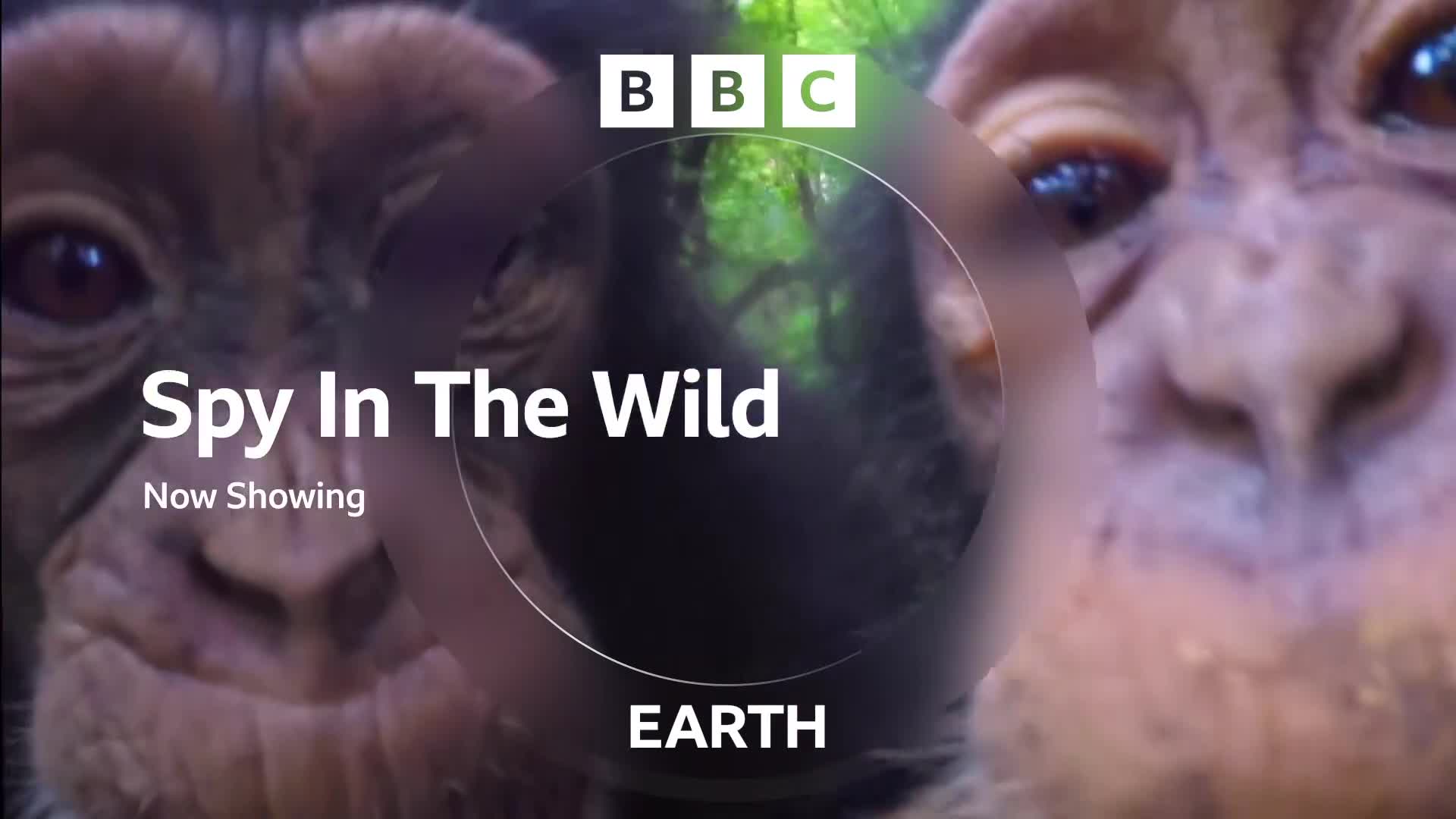 BBCEarth