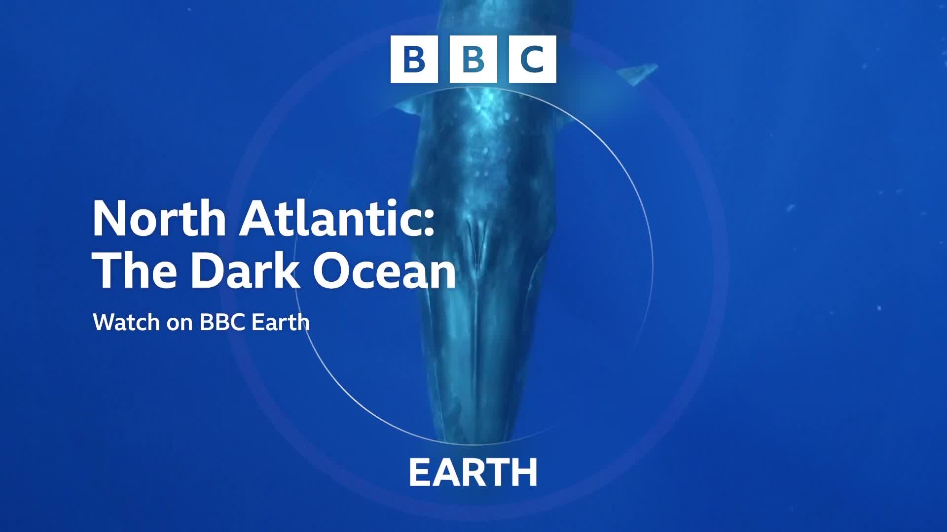 BBCEarth