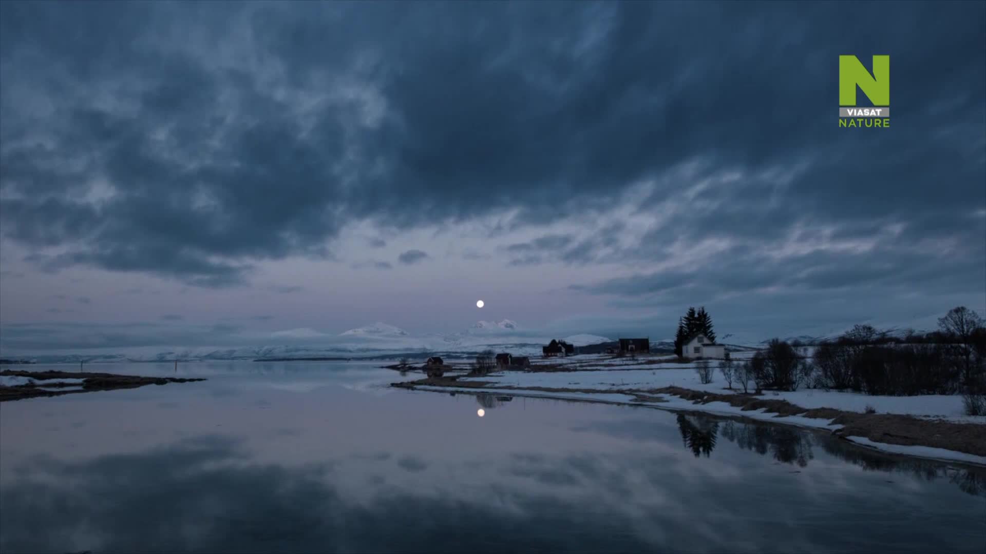 ViasatNature