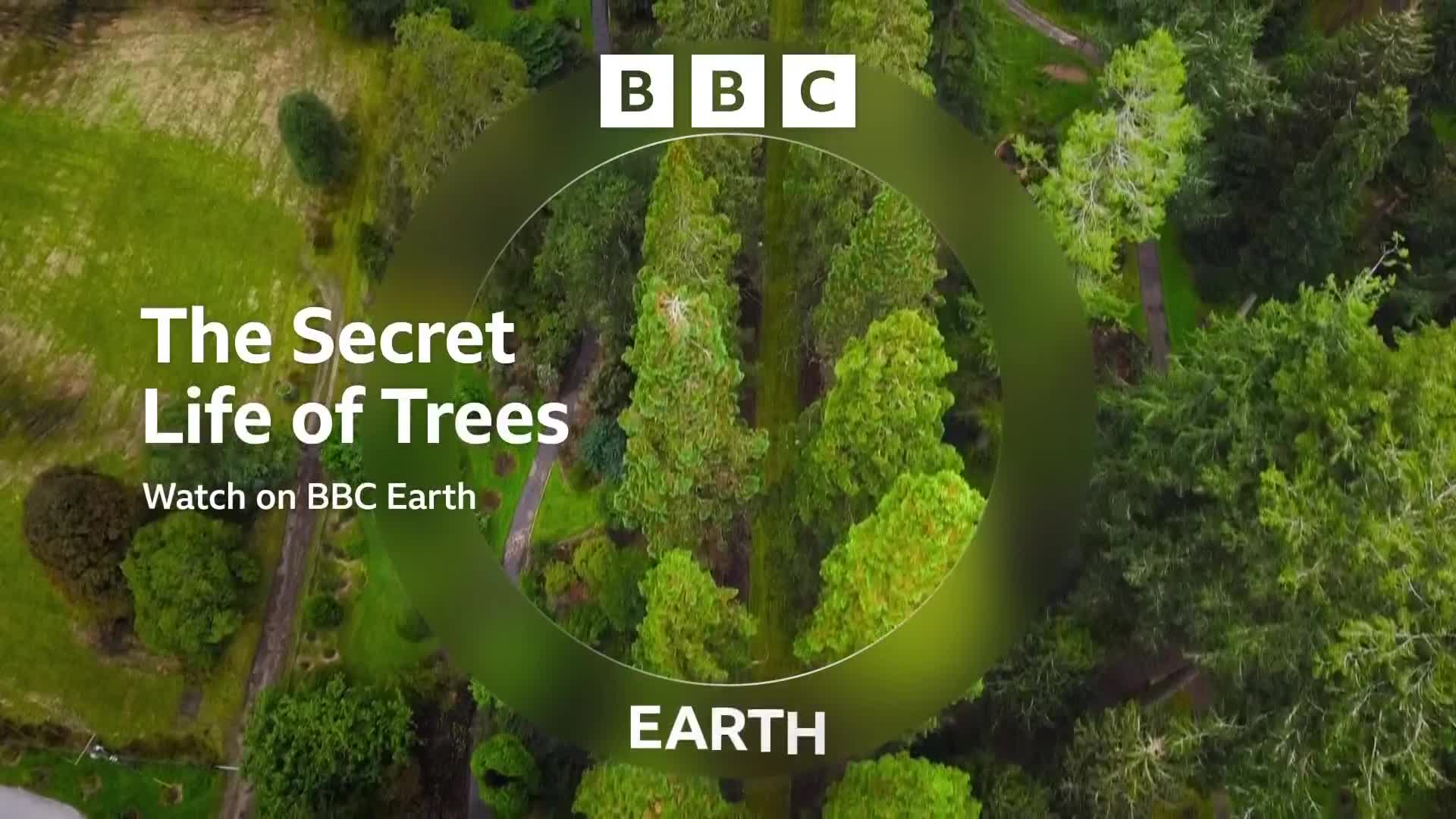 BBCEarth