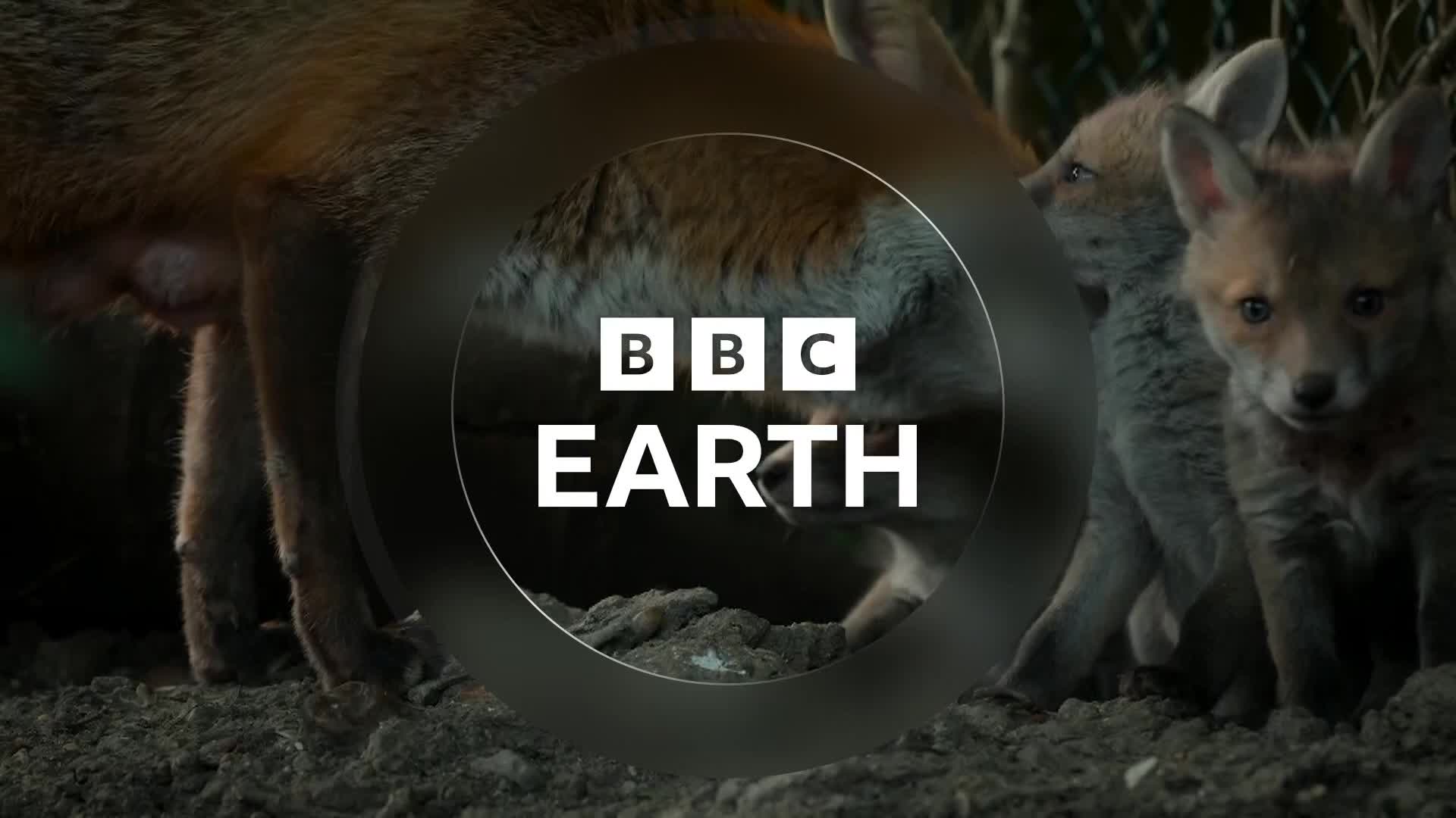 BBCEarth