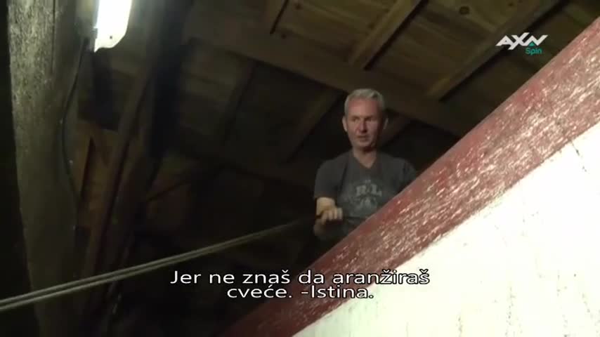 AXNSpin
