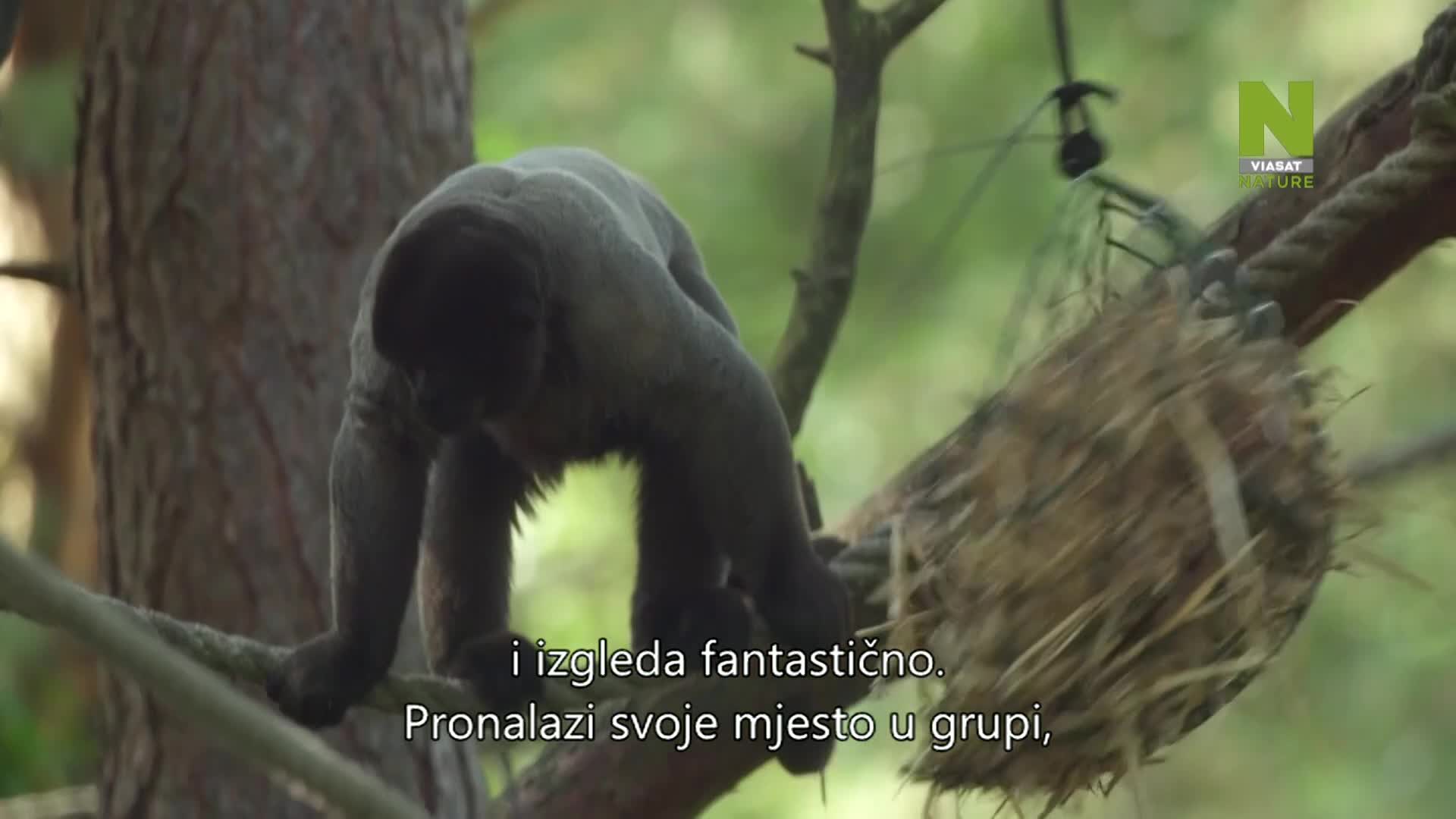 ViasatNature