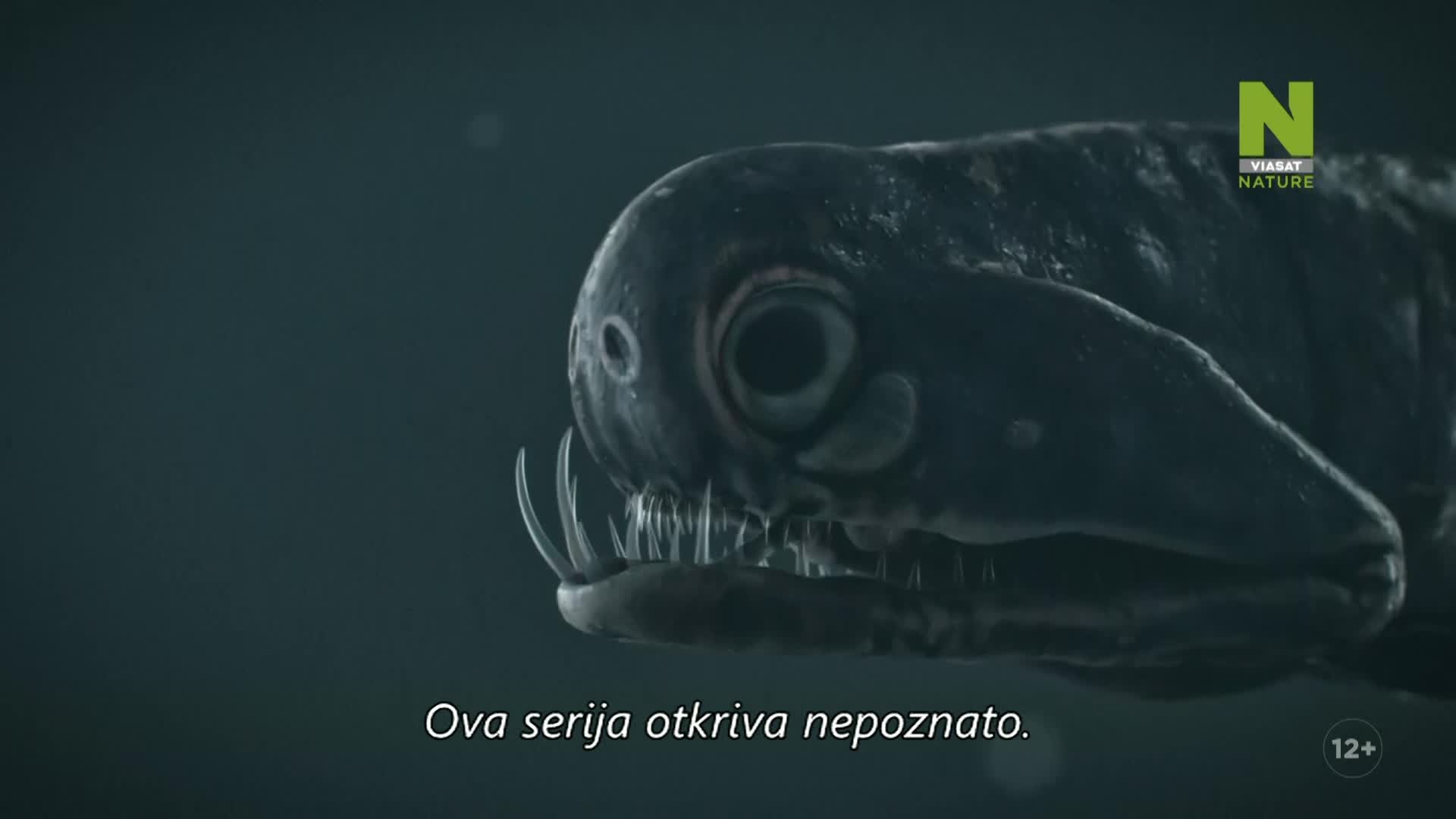 ViasatNature