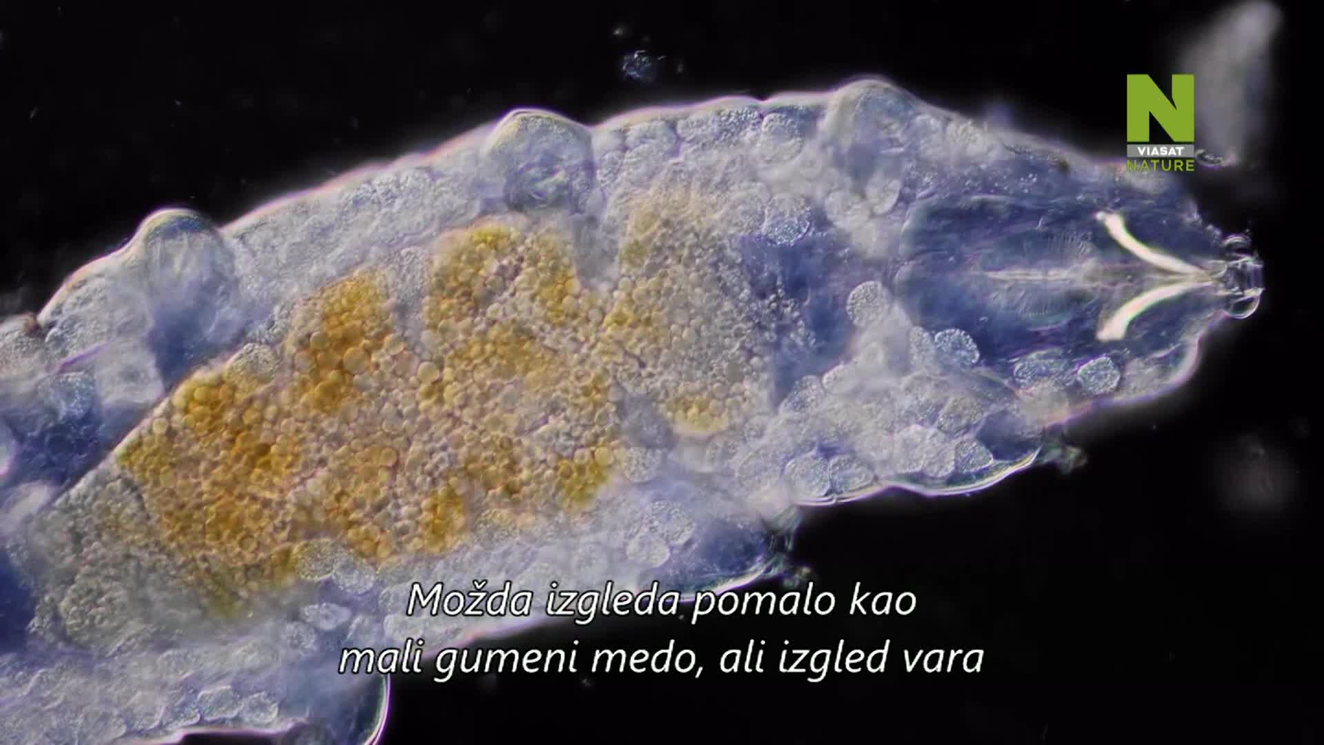 ViasatNature