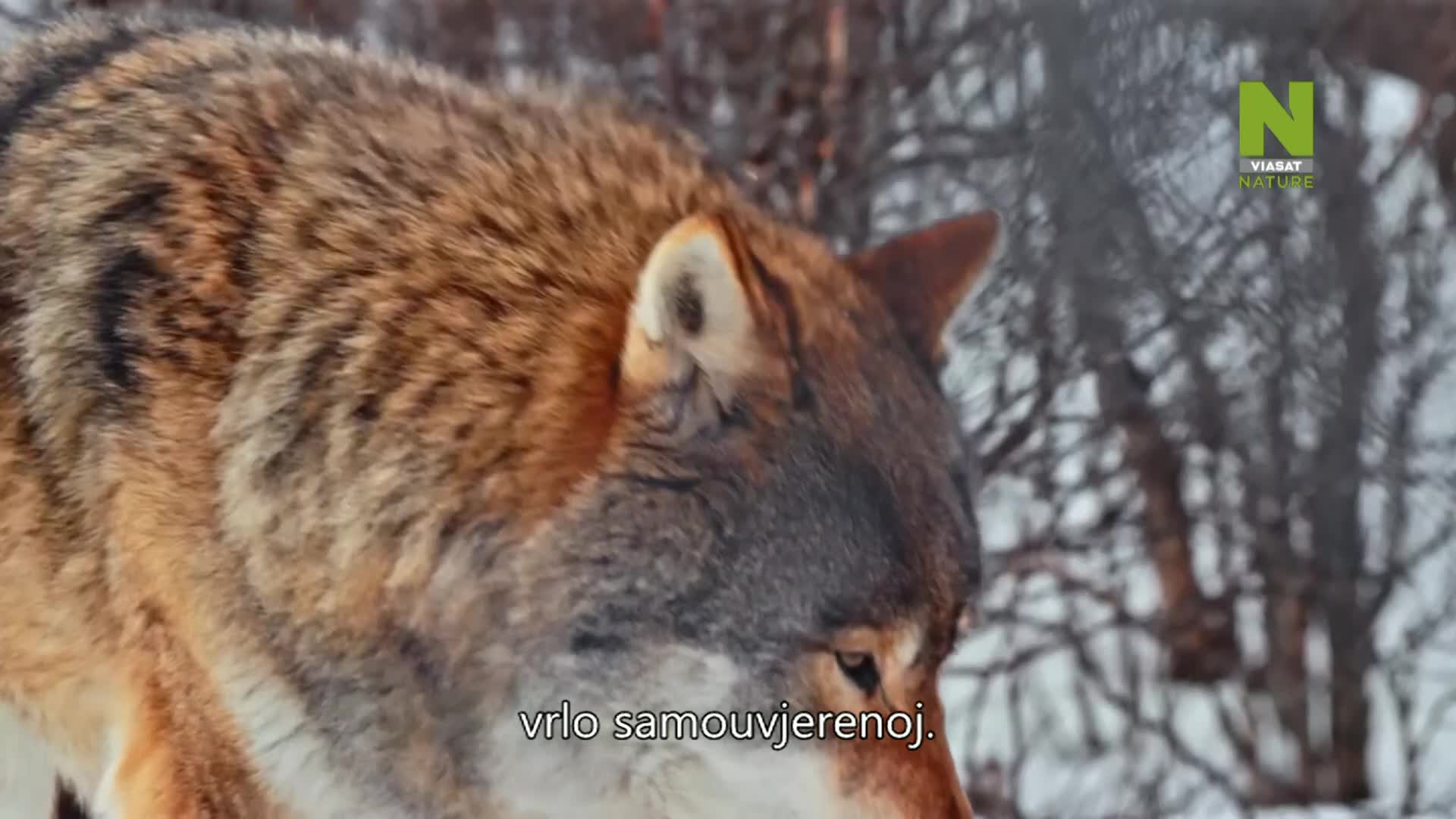 ViasatNature