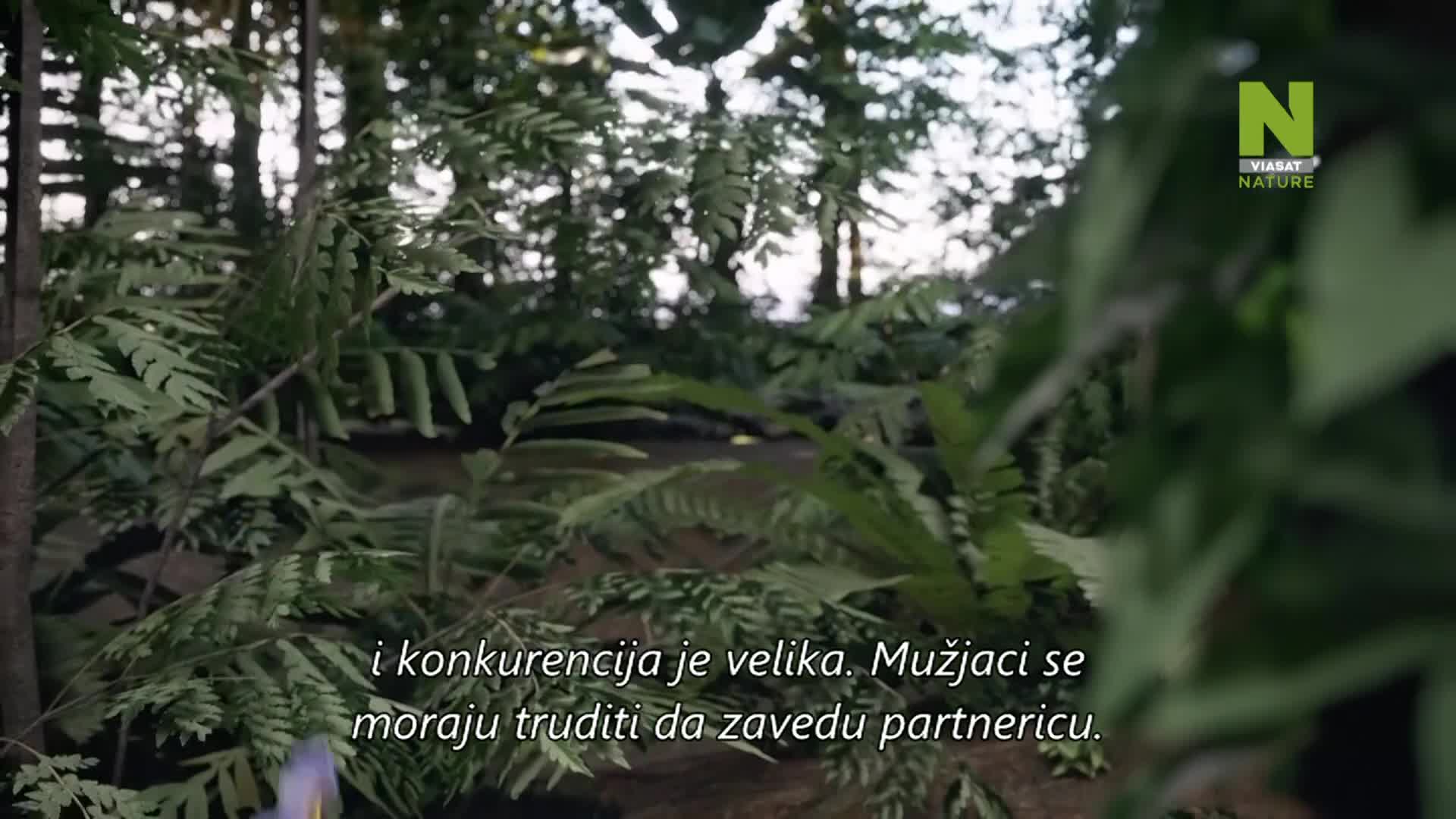 ViasatNature