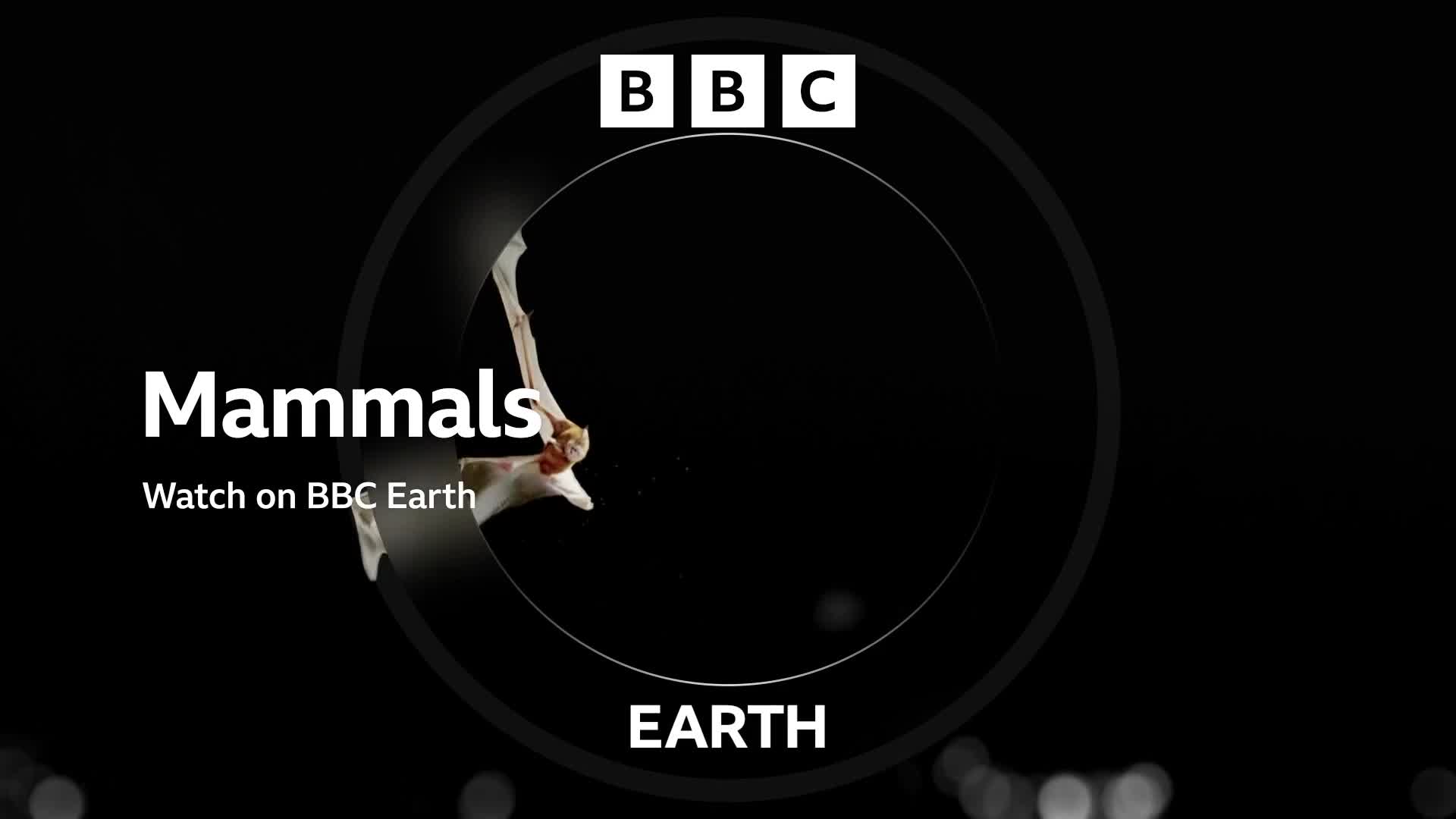 BBCEarth