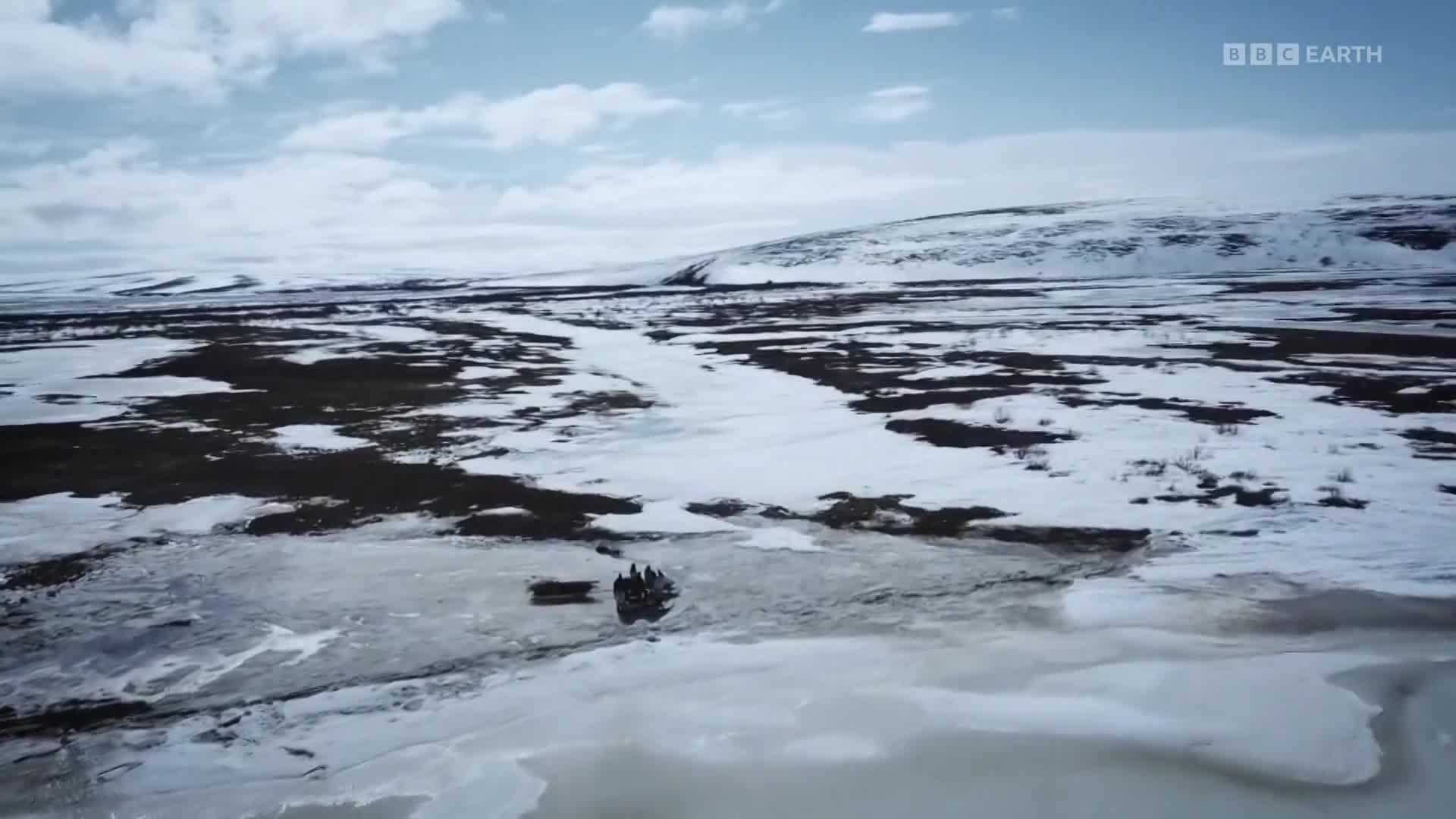 BBCEarth