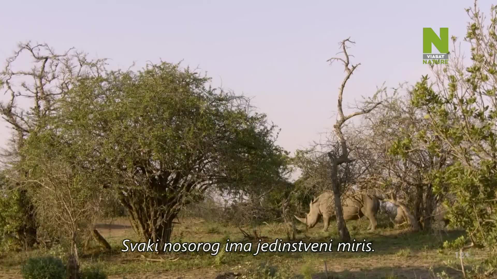ViasatNature
