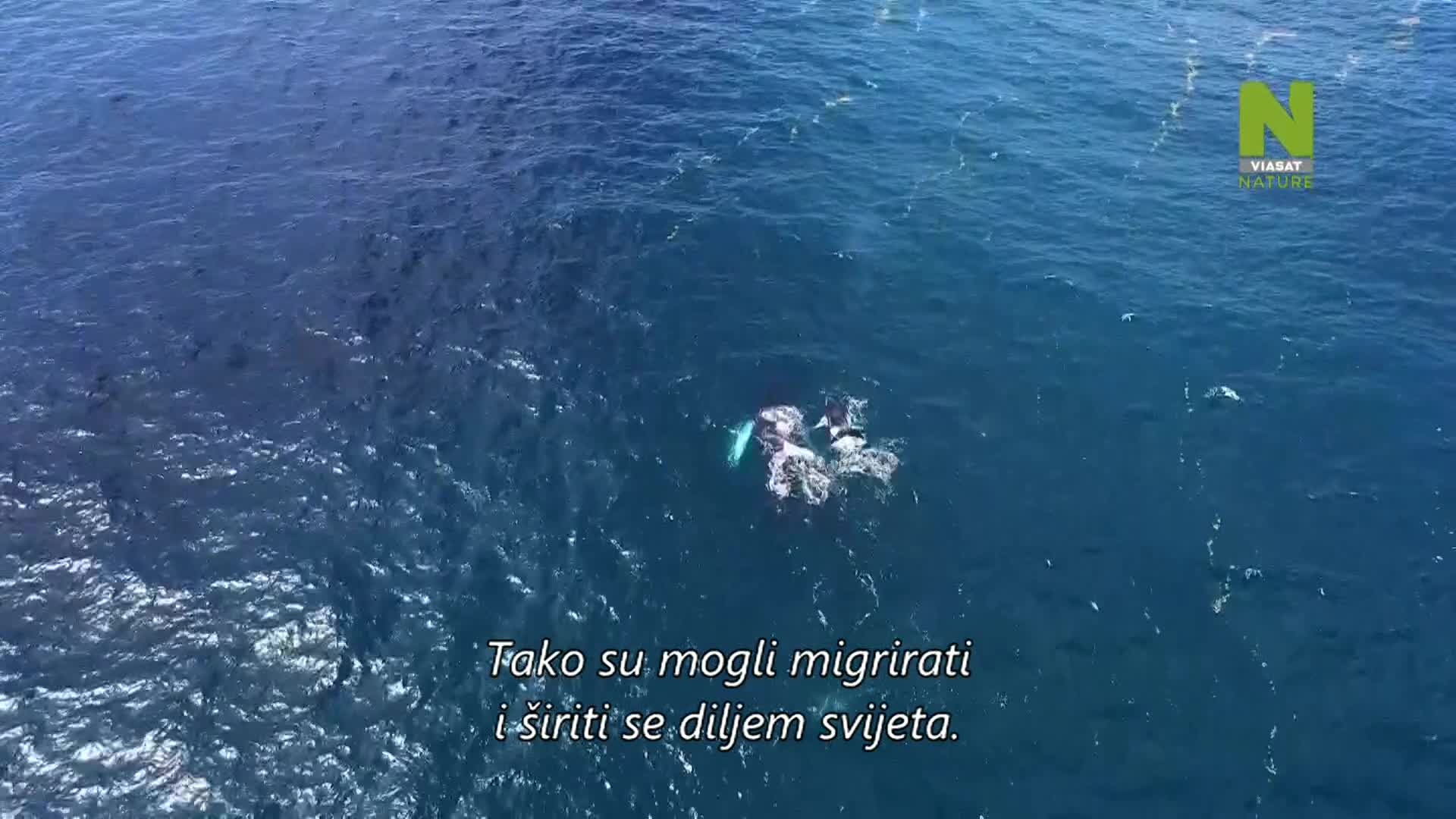 ViasatNature