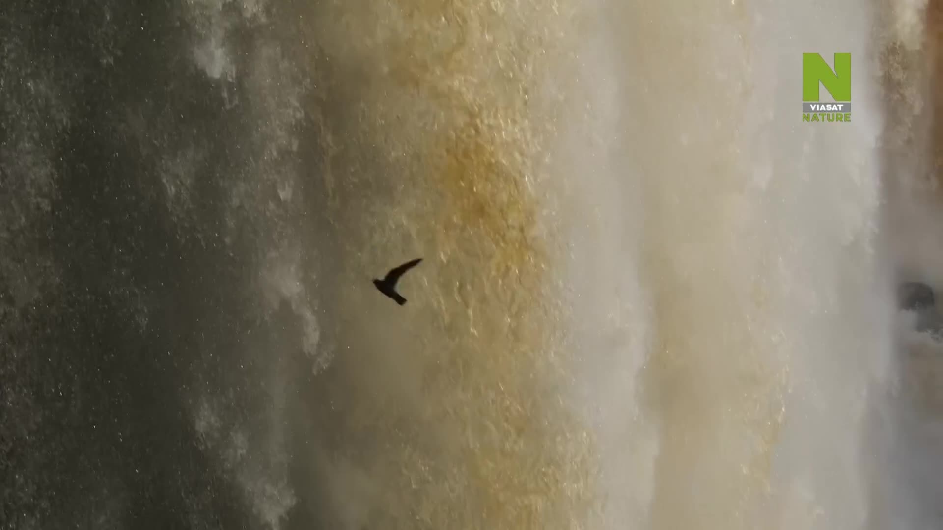 ViasatNature