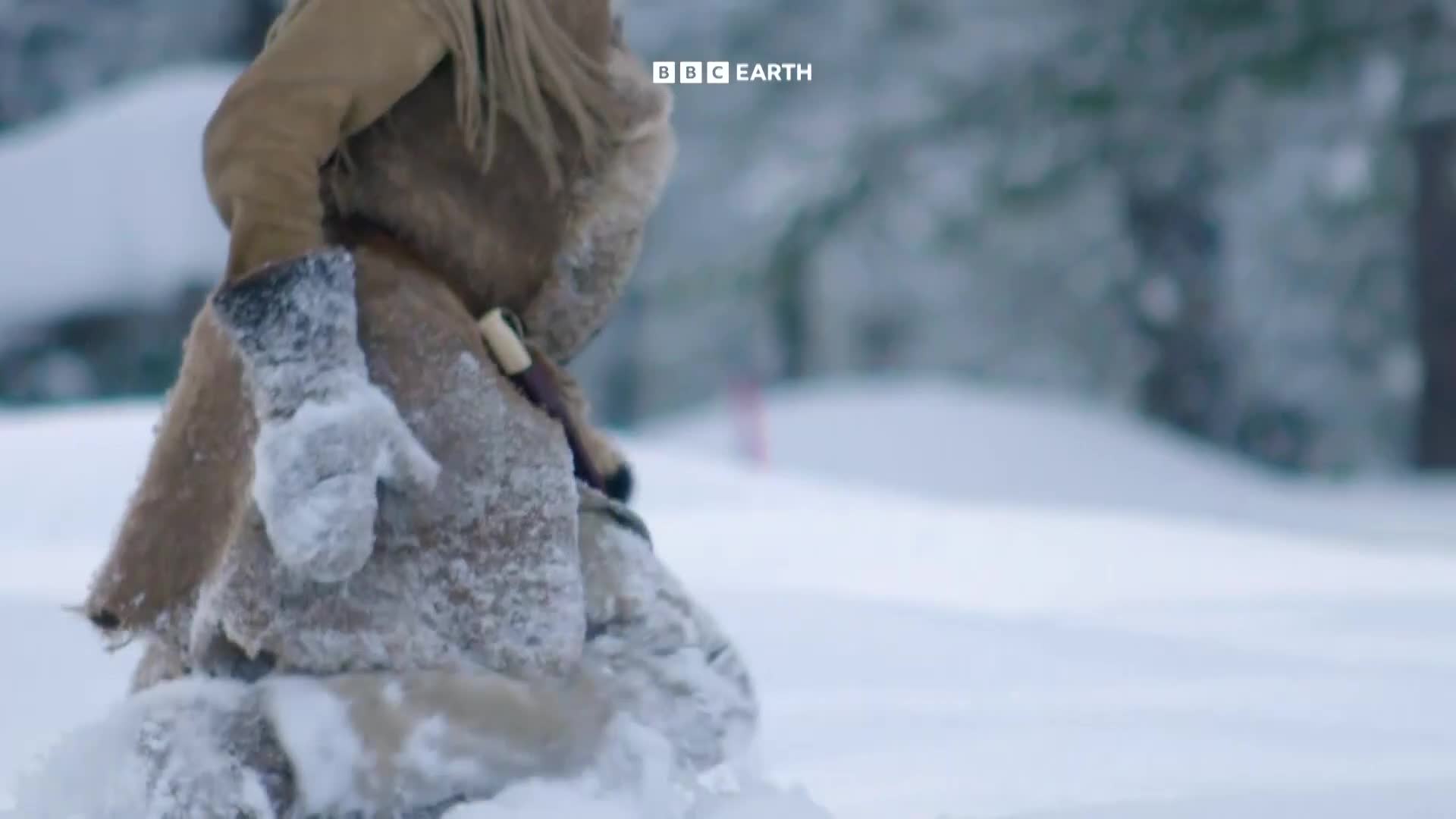 BBCEarth