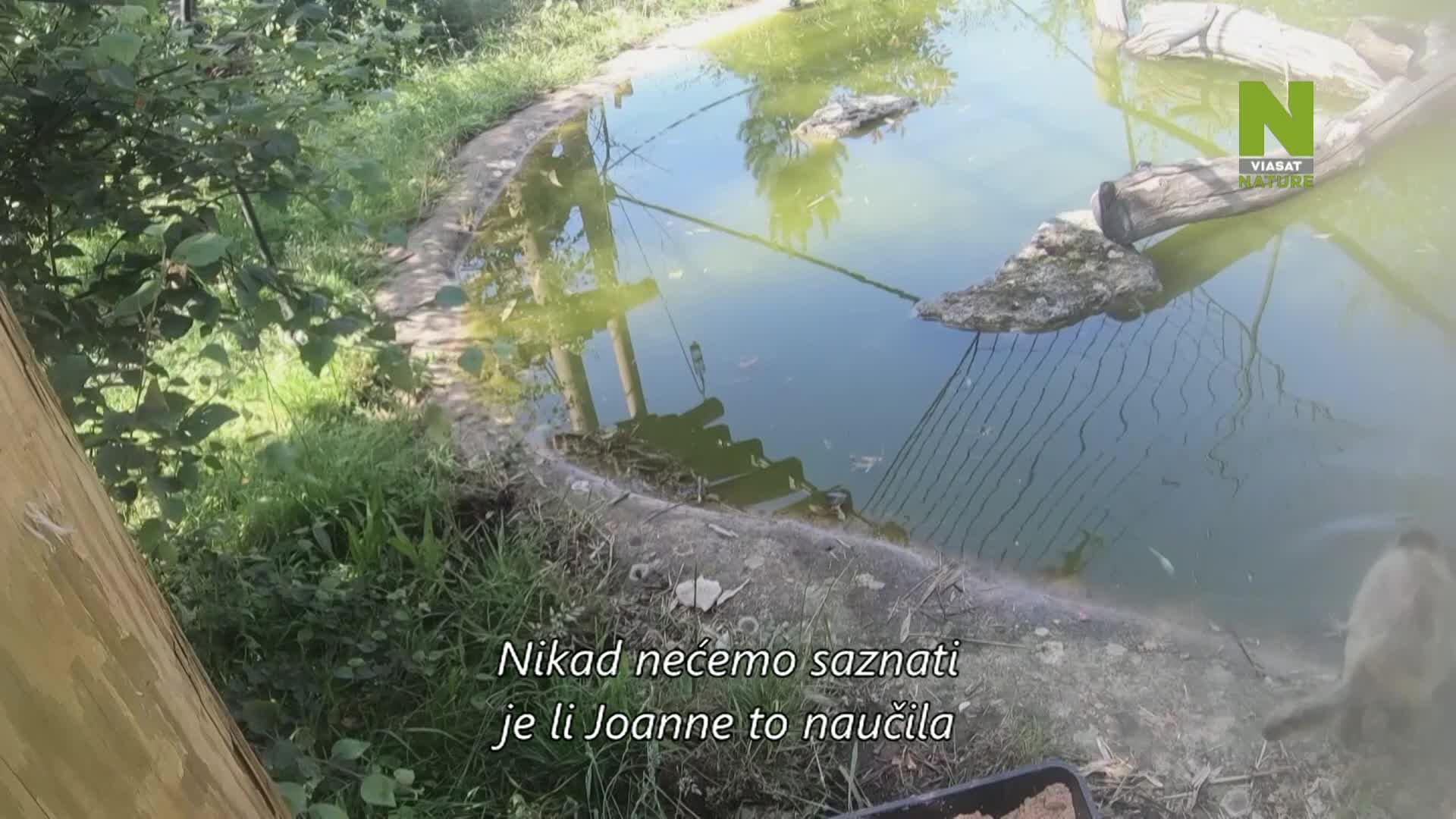 ViasatNature