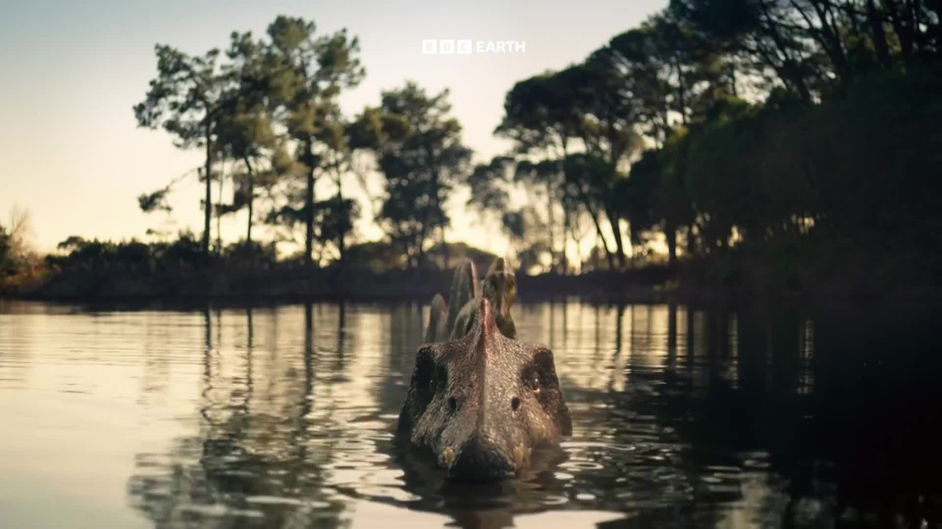 BBCEarth